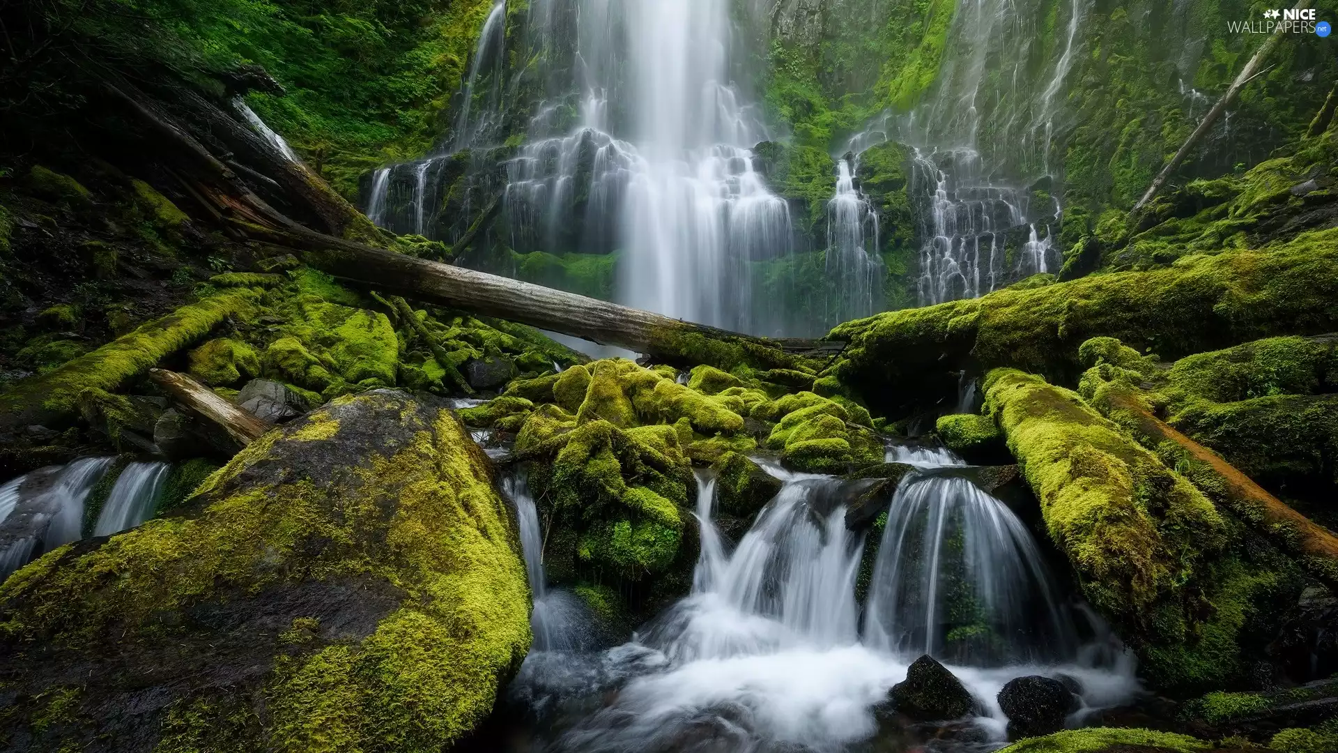 Stones, waterfall, branches, mossy, River, broken, VEGETATION