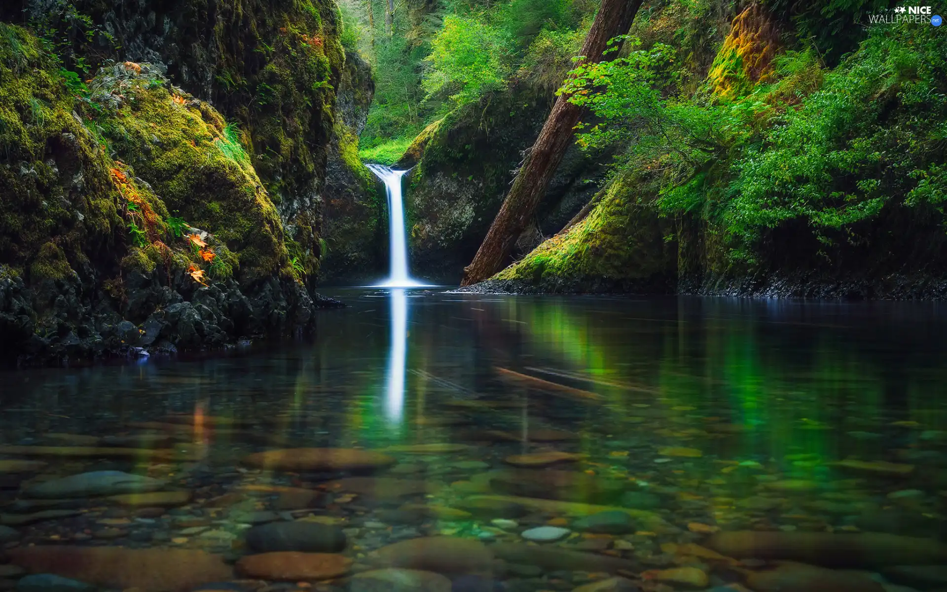 Mossy, forest, viewes, Stones, waterfall, autumn, trees, Plants, Rocks, River