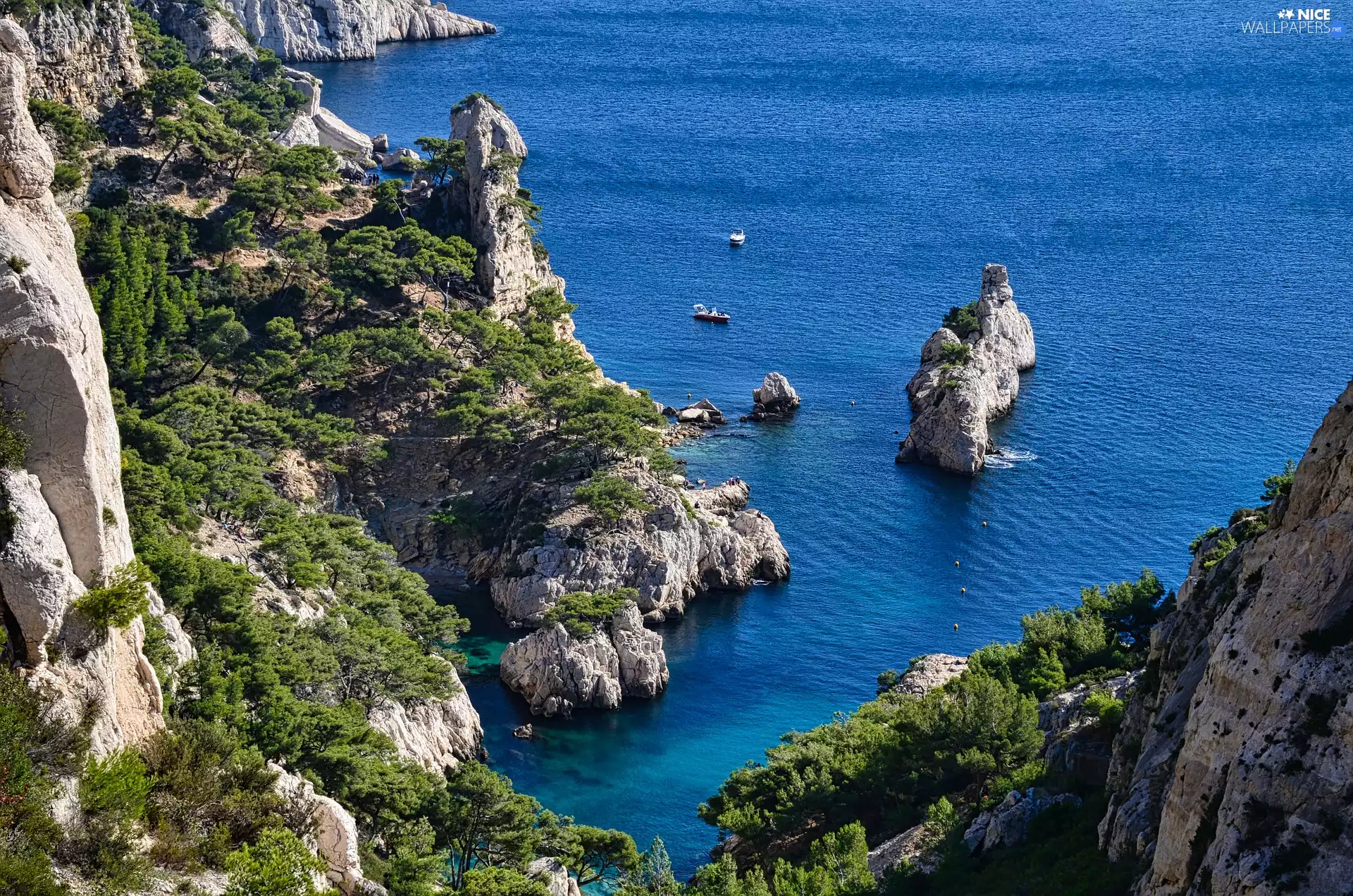 trees, sea, rocks, motorboat, viewes, Gulf