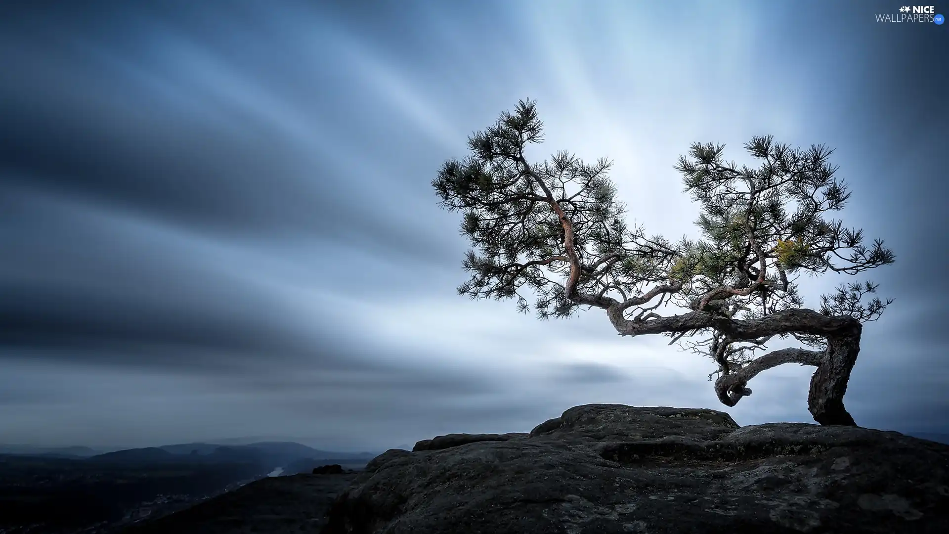 mount, Saxon Switzerland National Park, trees, Sky, Germany, Lilienstein Mountain, pine