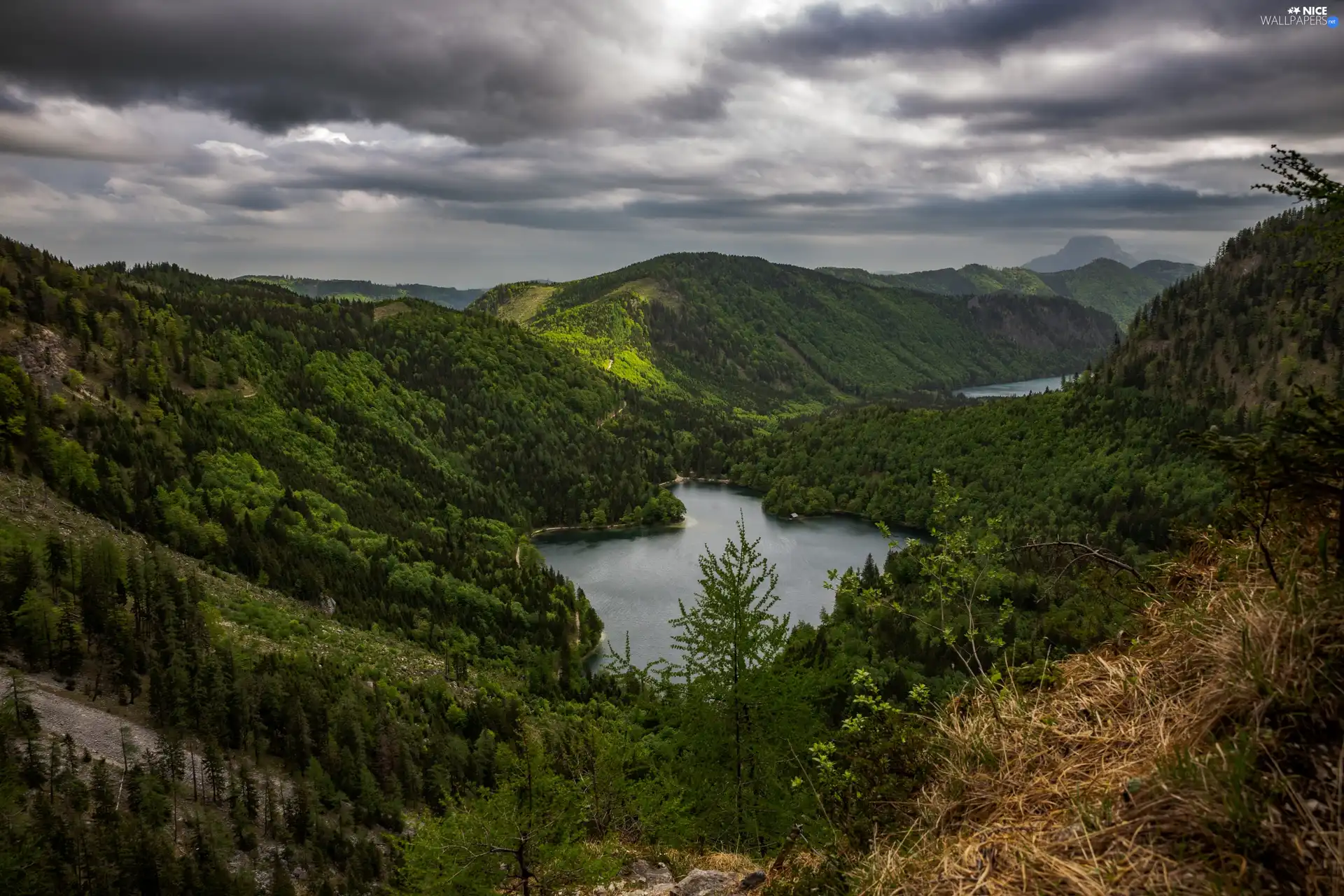 woods, Mountains, Austria, Langbathseen Lake