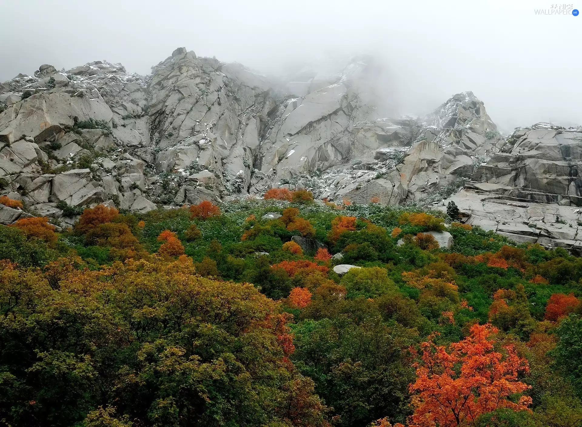 autumn, trees, viewes, Mountains