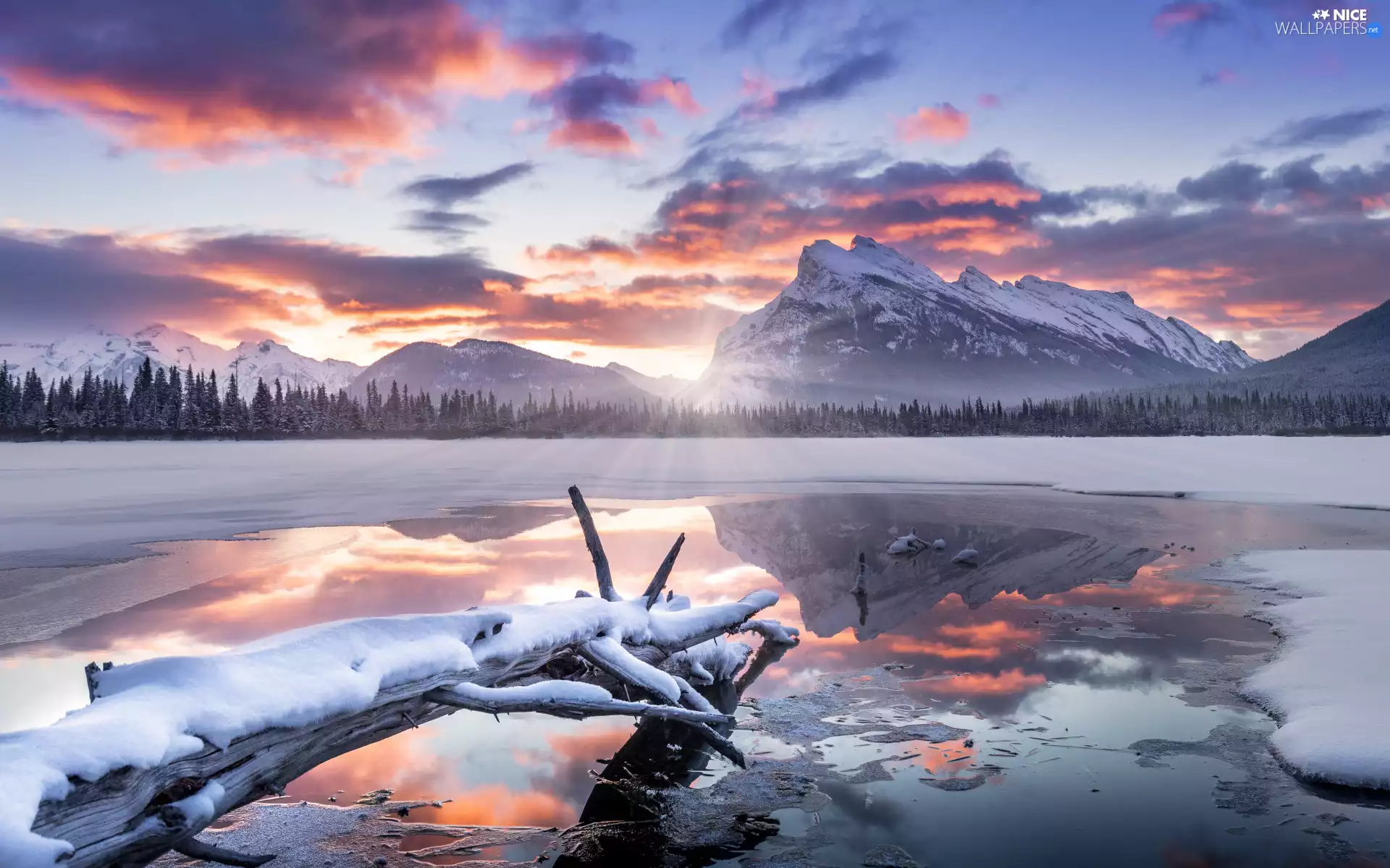 snow, winter, forest, Mountains, viewes, Canada, Alberta, Logs, lake, Banff National Park, trees