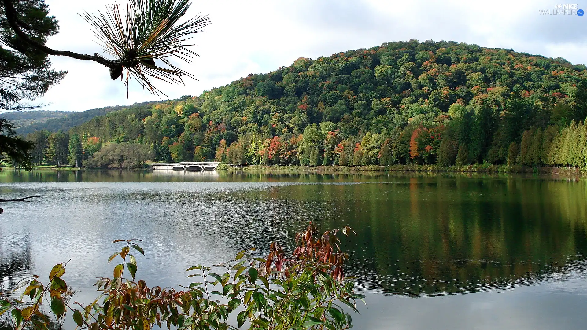 Mountains, River, bridge