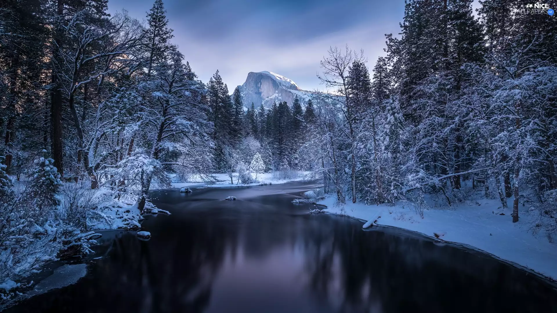 winter, Yosemite National Park, Merced River, Mountains, State of California, The United States, trees, viewes, forest