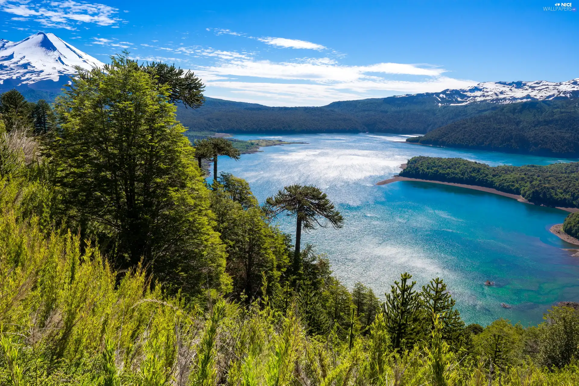 Mountains, Chile, trees, viewes, lake