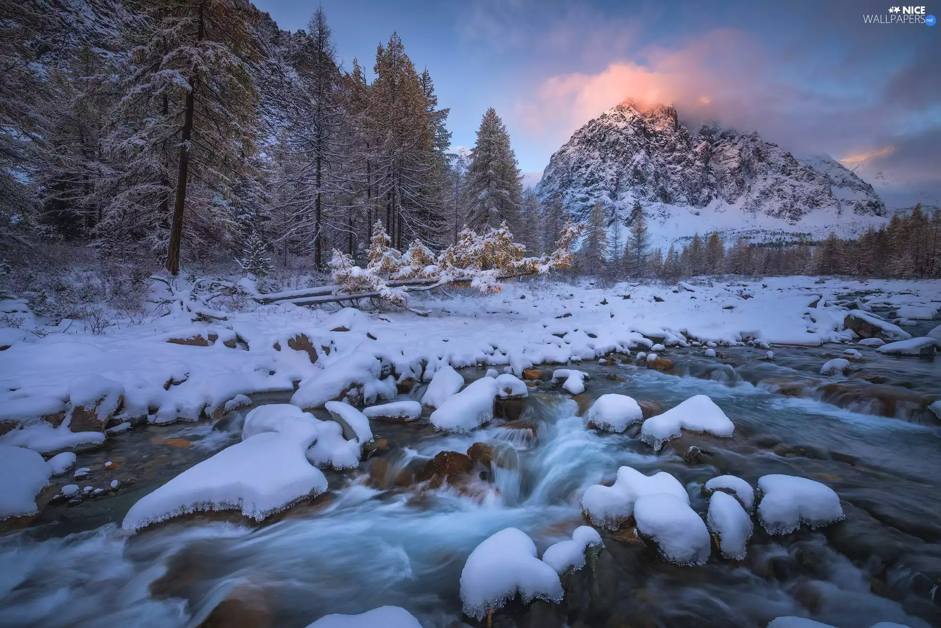 trees, River, fallen, Mountains, winter, viewes, trees