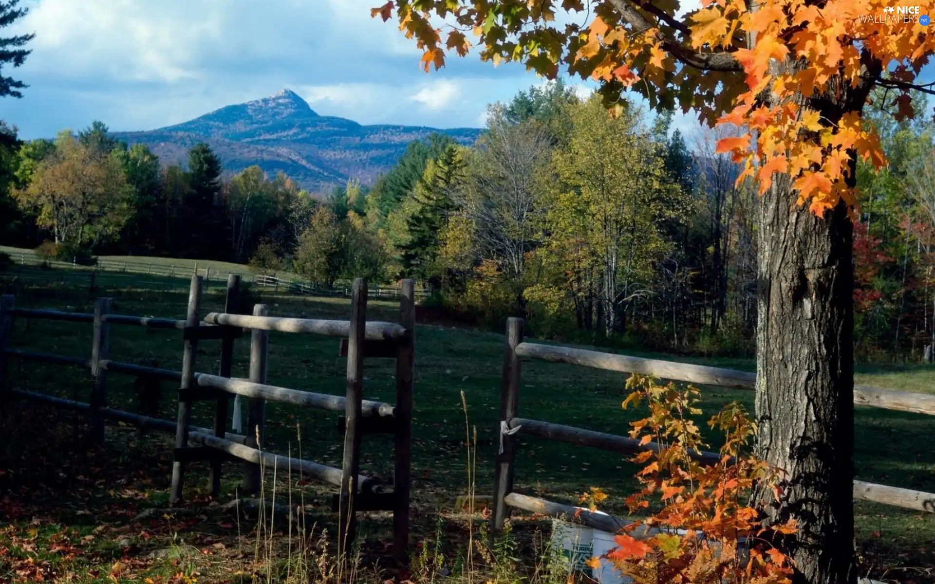 fence, viewes, Mountains, trees