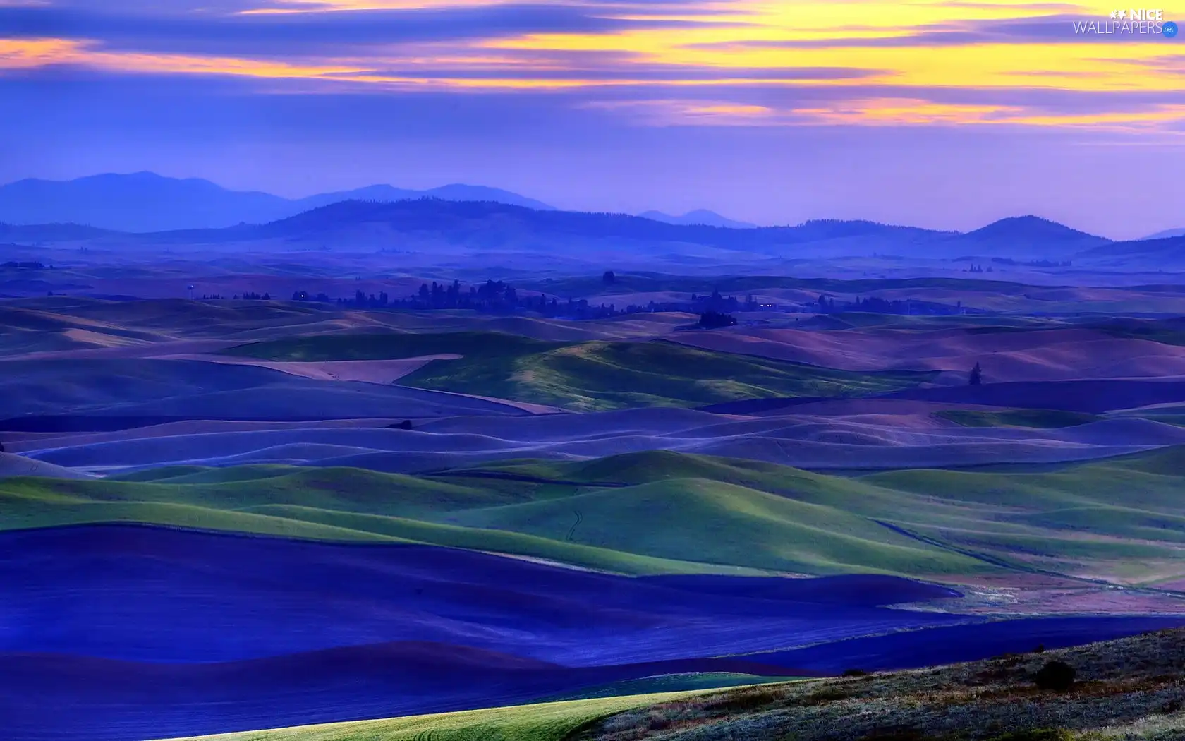 field, Mountains