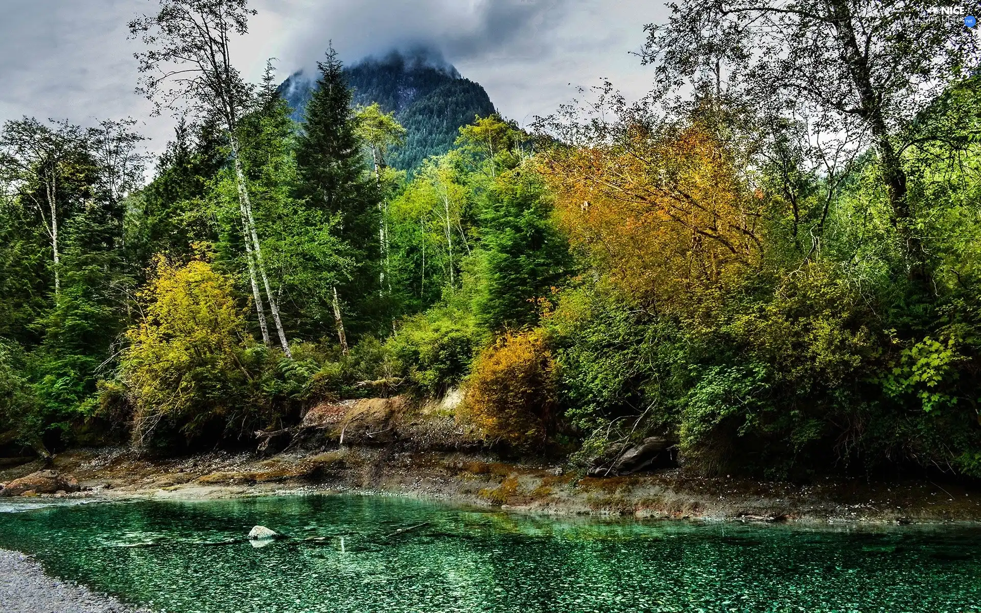 mountains, Fog, trees, viewes, River