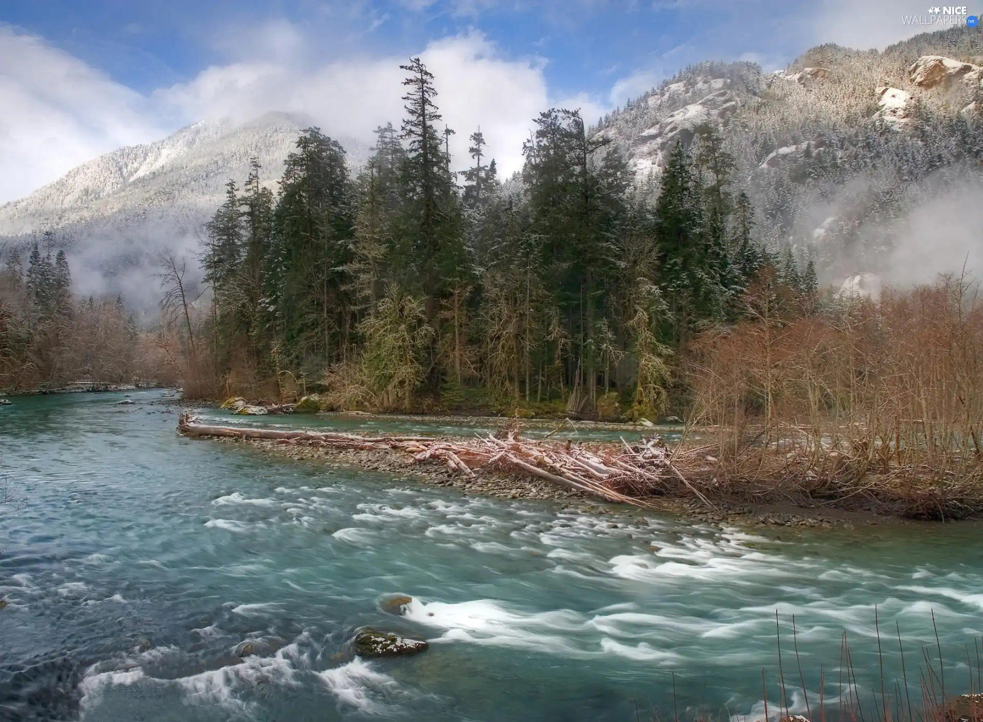 Mountains, Fog, trees, viewes, River