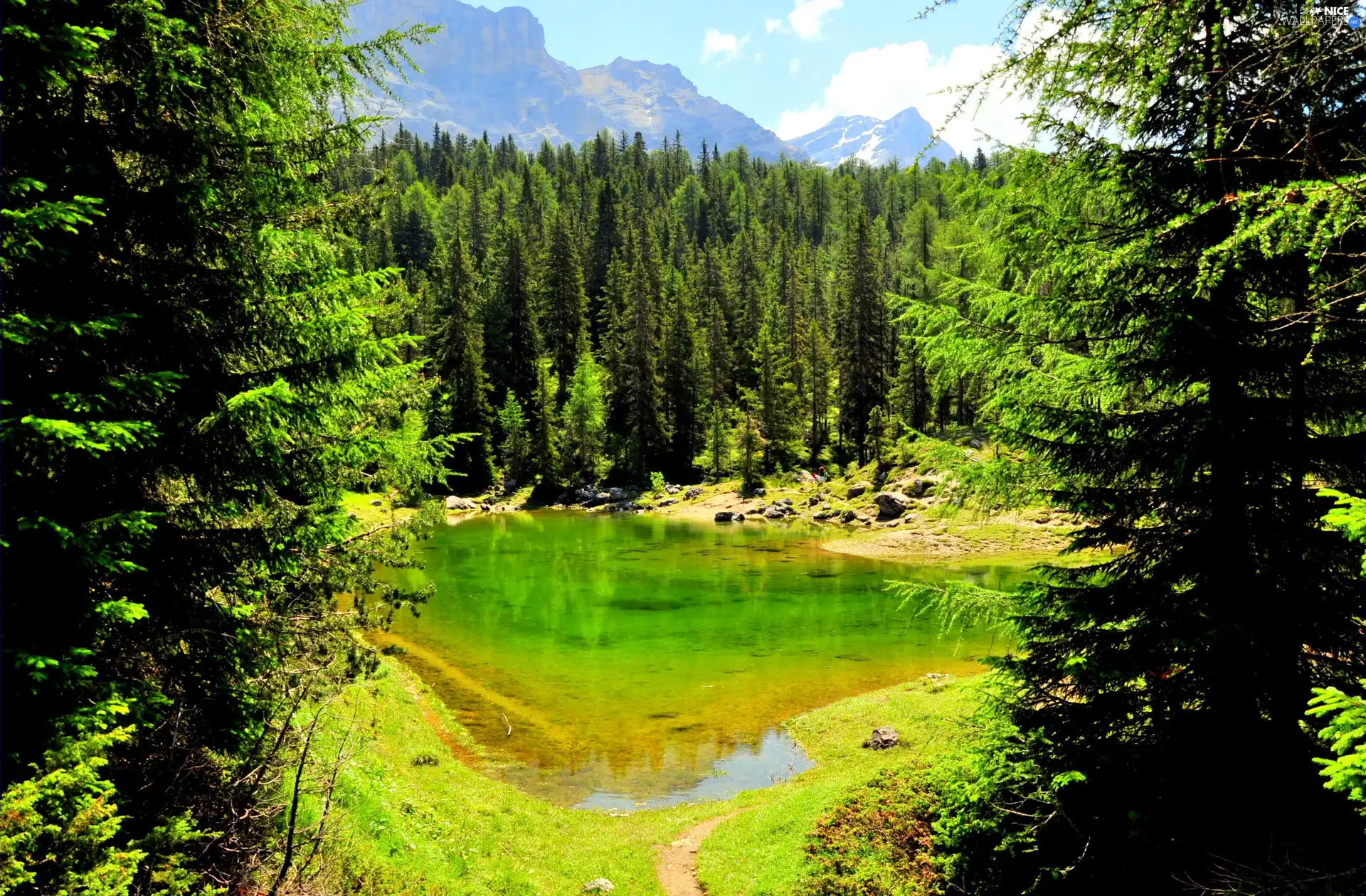 Mountains, lake, forest