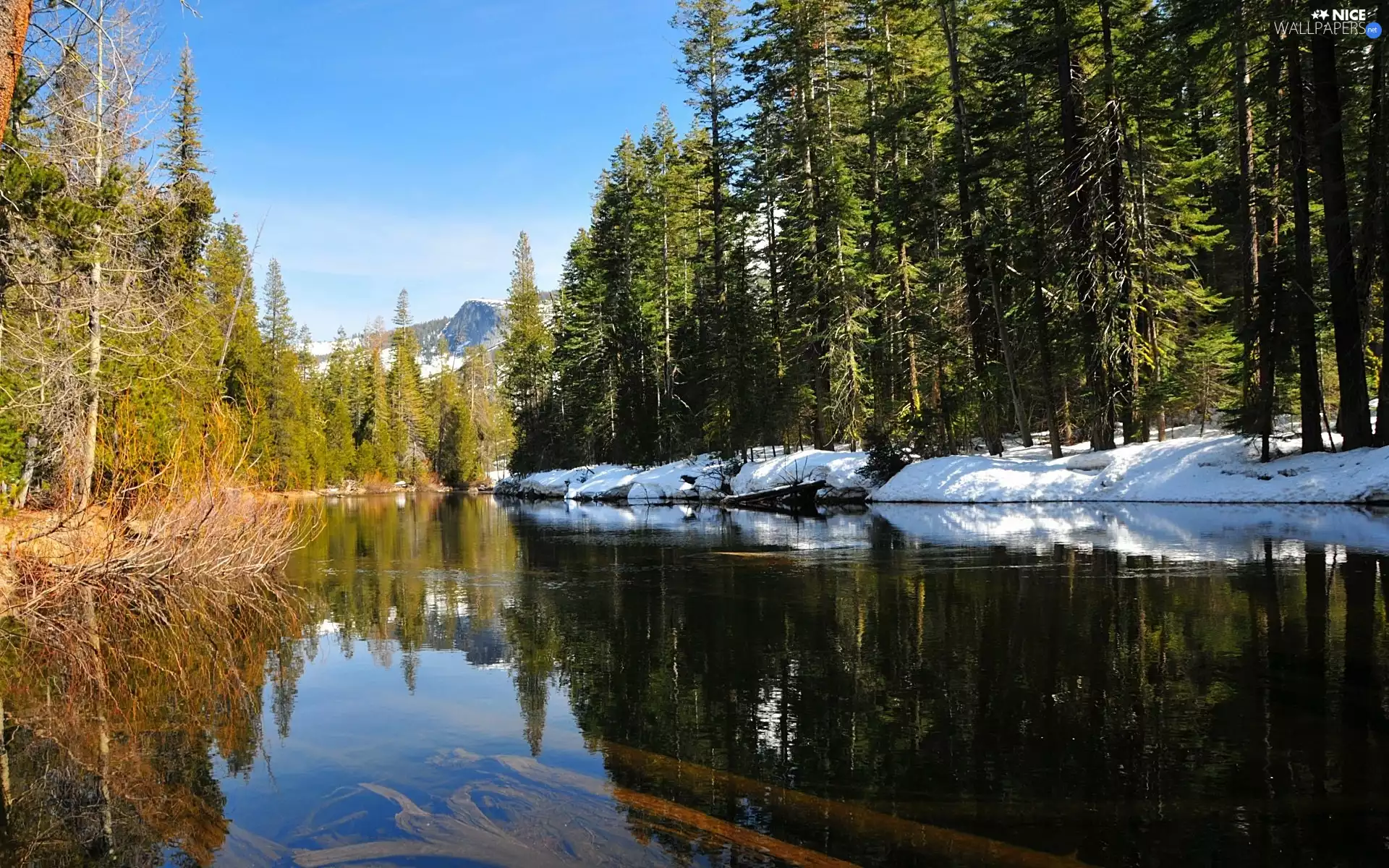 Mountains, River, forest