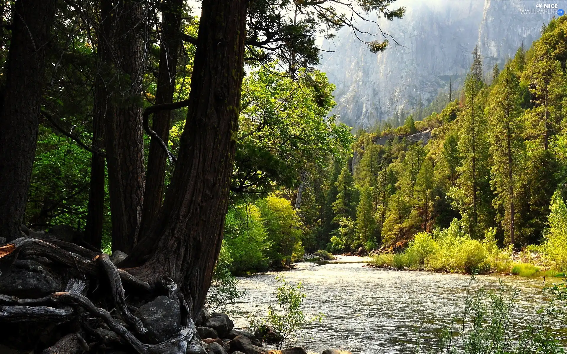 Mountains, River, forest