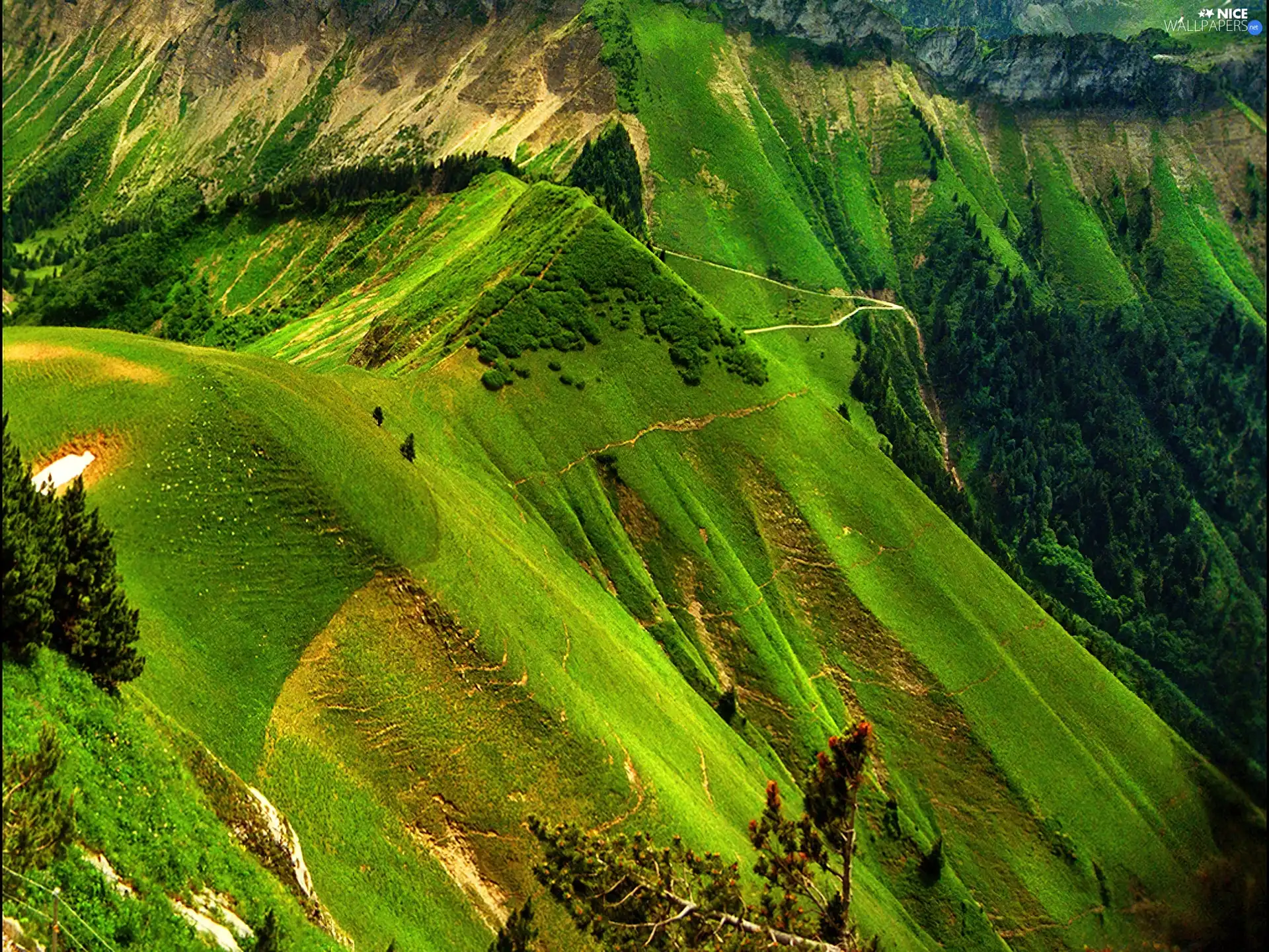 Alps, green ones, Mountains