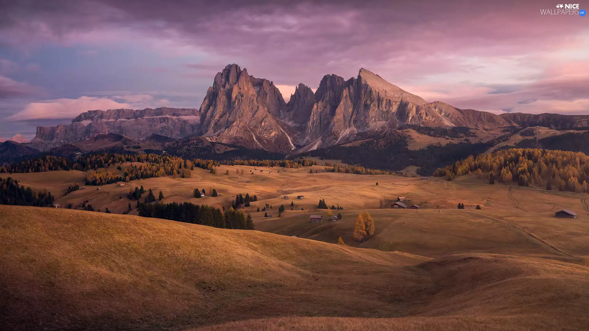 Val Gardena Valley, Seiser Alm Meadow, Sassolungo Mountains, Dolomites, viewes, Italy, Houses, trees, The Hills