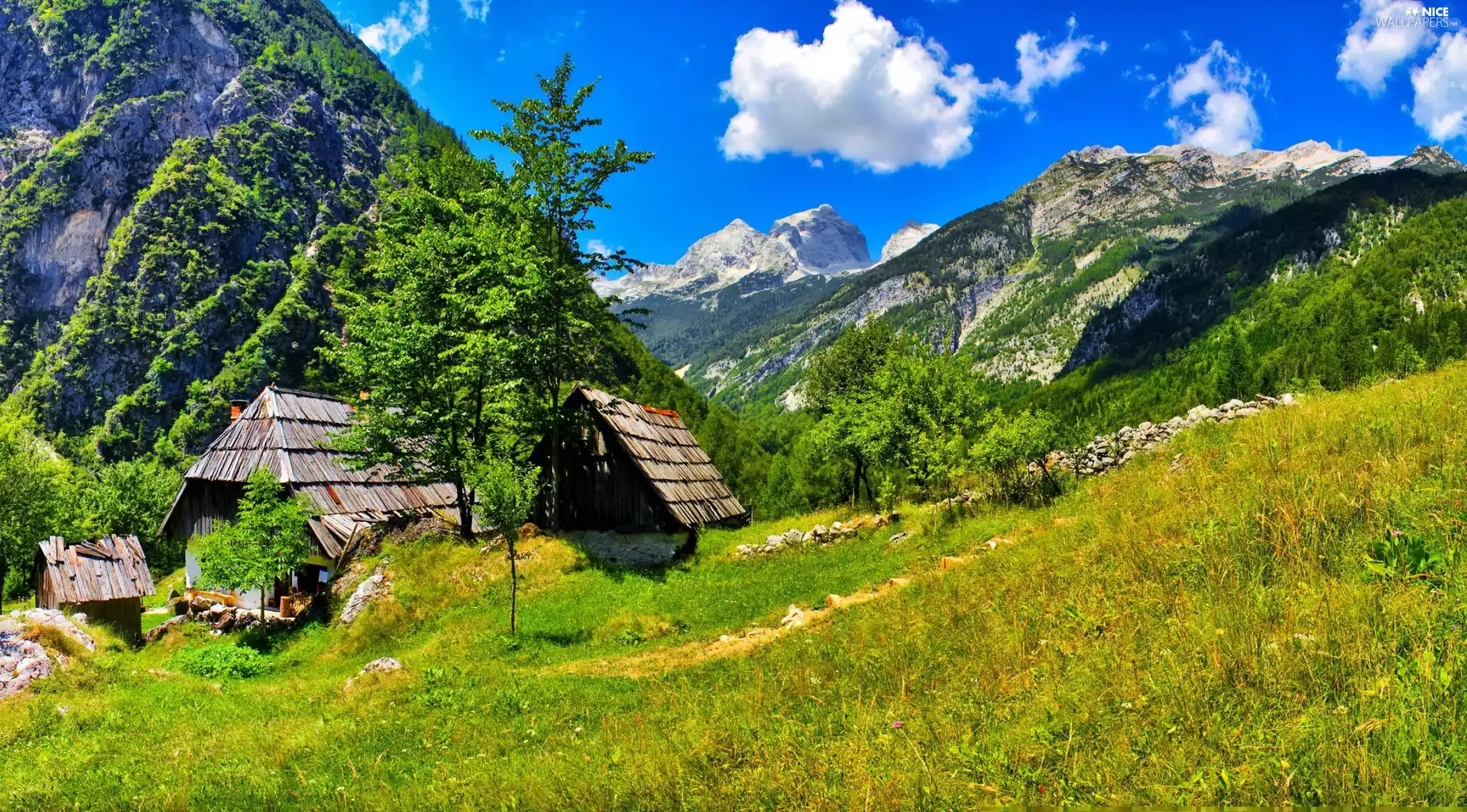 Houses, woods, Meadow, Mountains