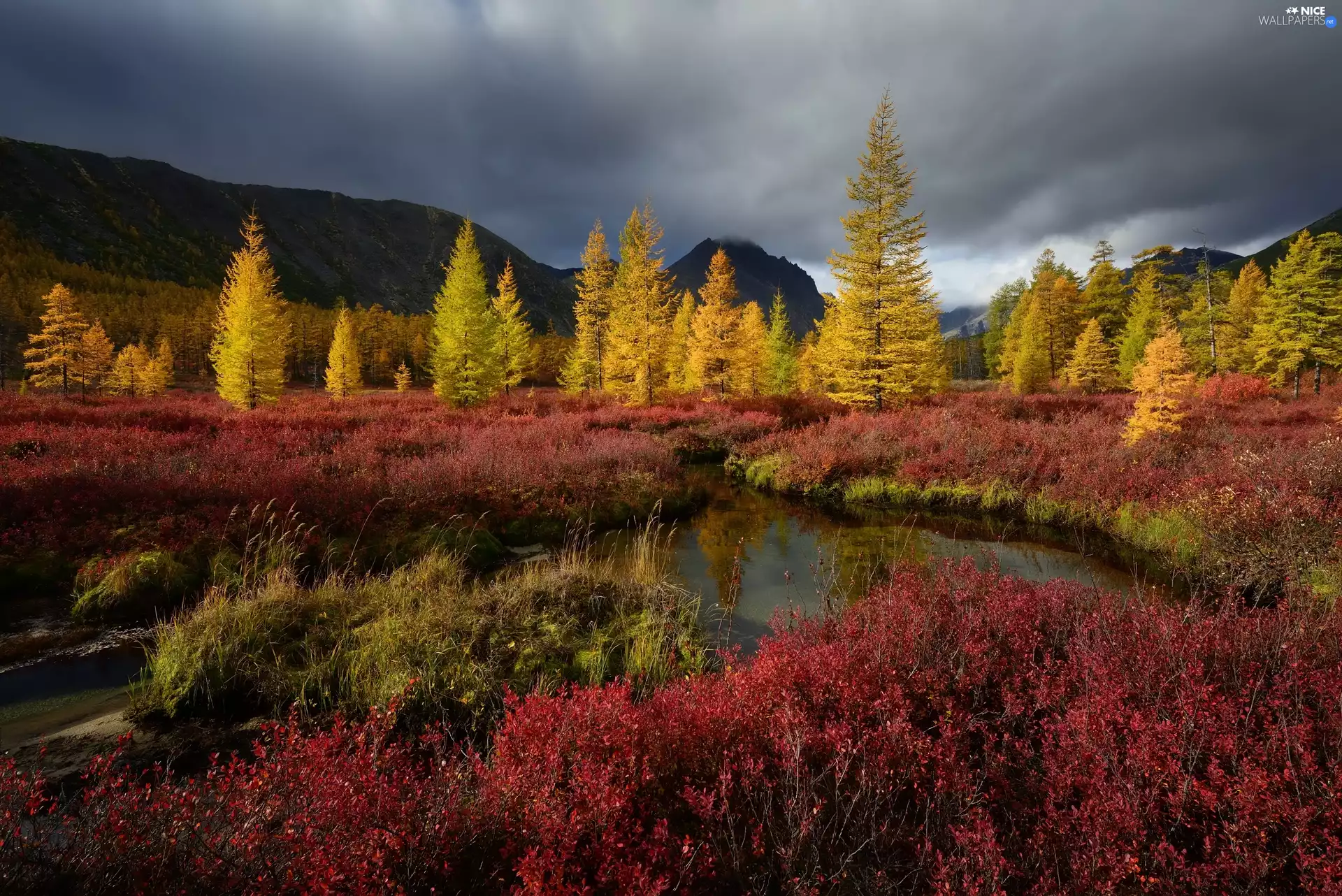 Mountains, trees, Magadan Circuit, viewes, autumn, Kolyma River, Russia