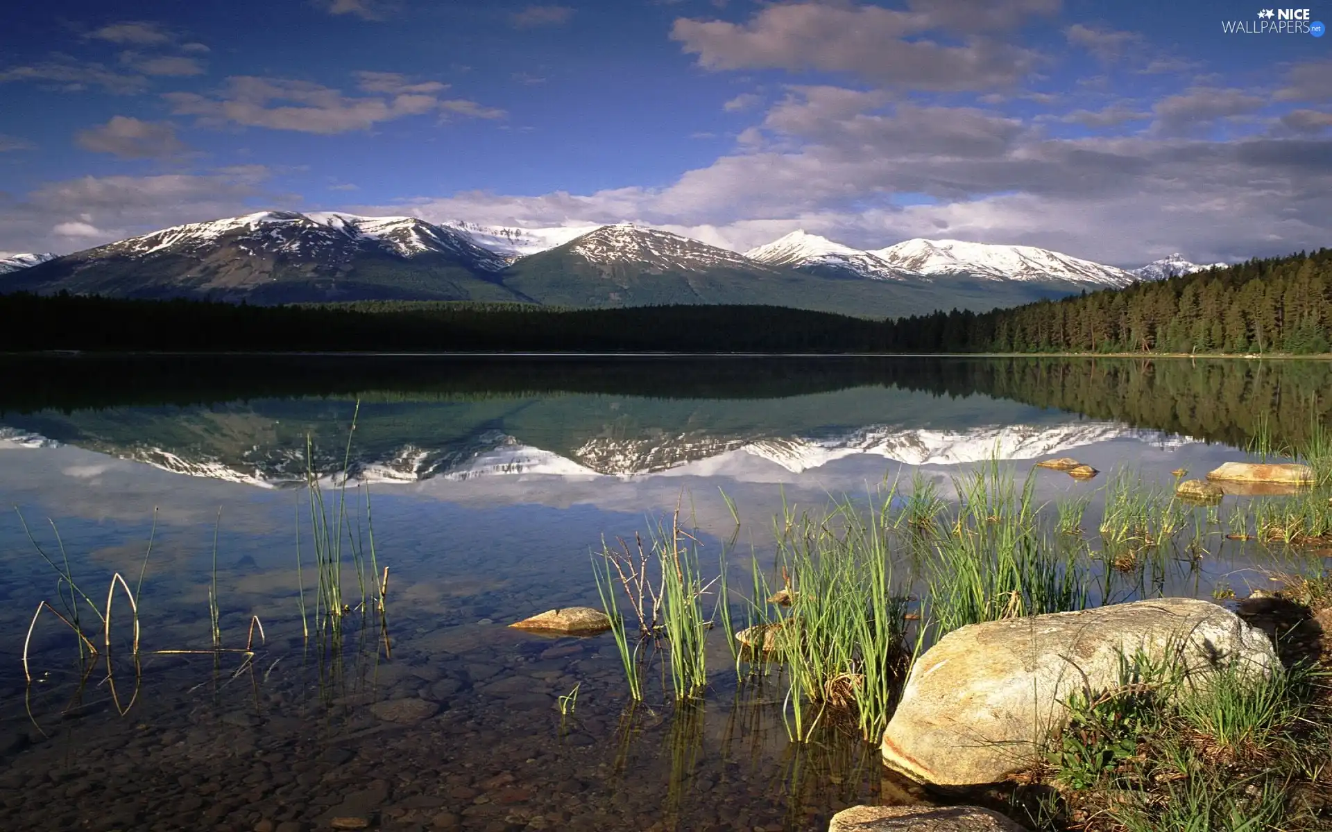 lake, Snowy, Mountains, woods