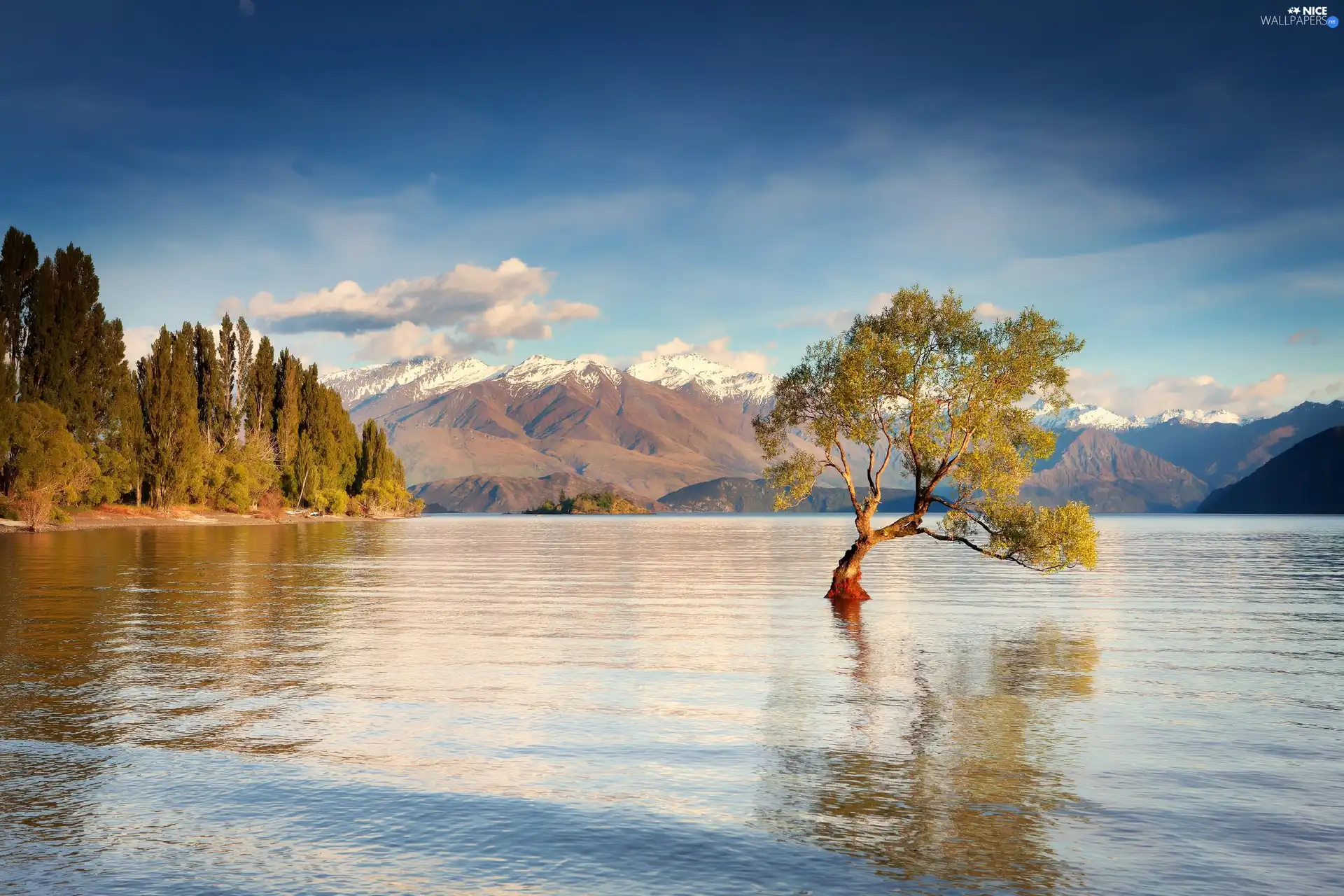 lake, viewes, Mountains, trees