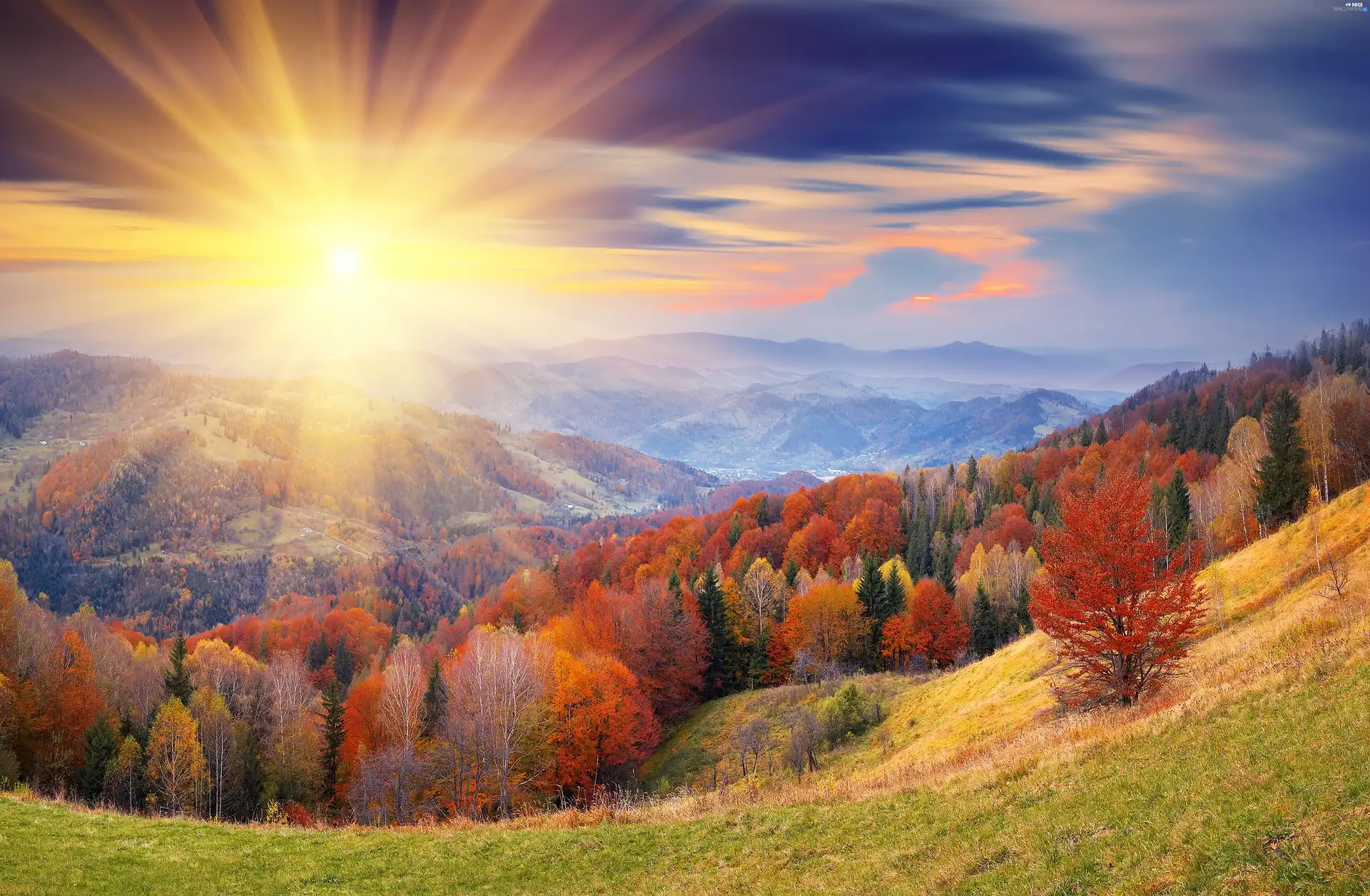 forest, rays of the Sun, landscape, Mountains, Autumn