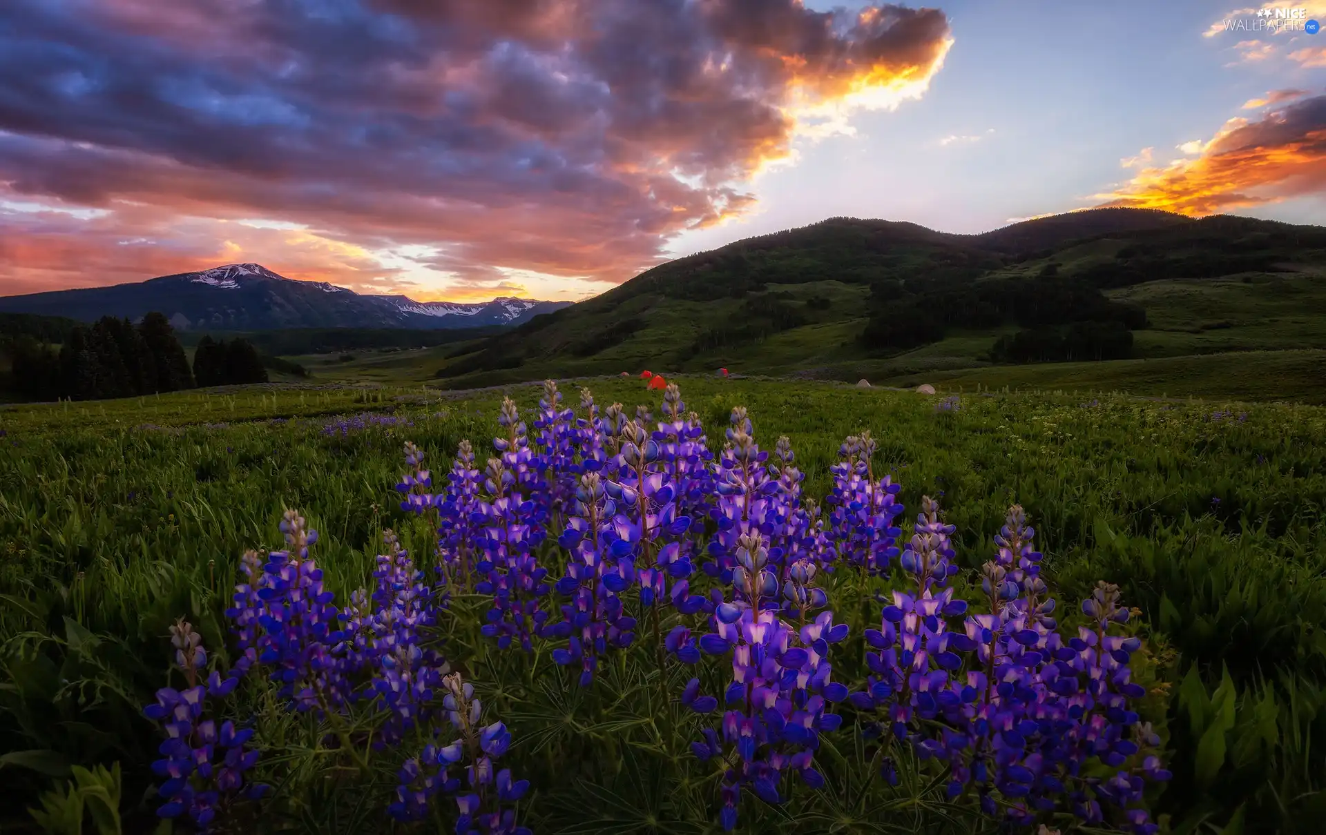 Mountains, Flowers, clouds, Great Sunsets, car in the meadow, lupine