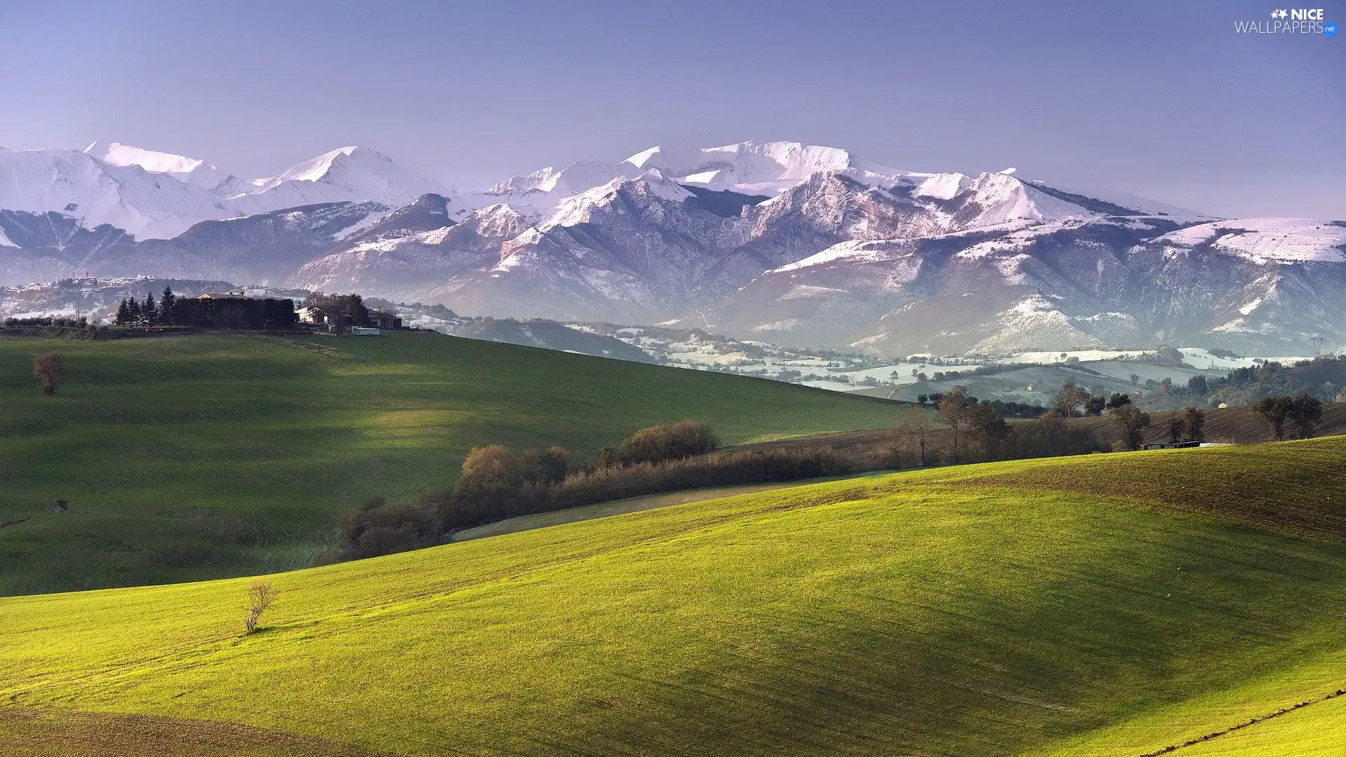 Meadow, Mountains