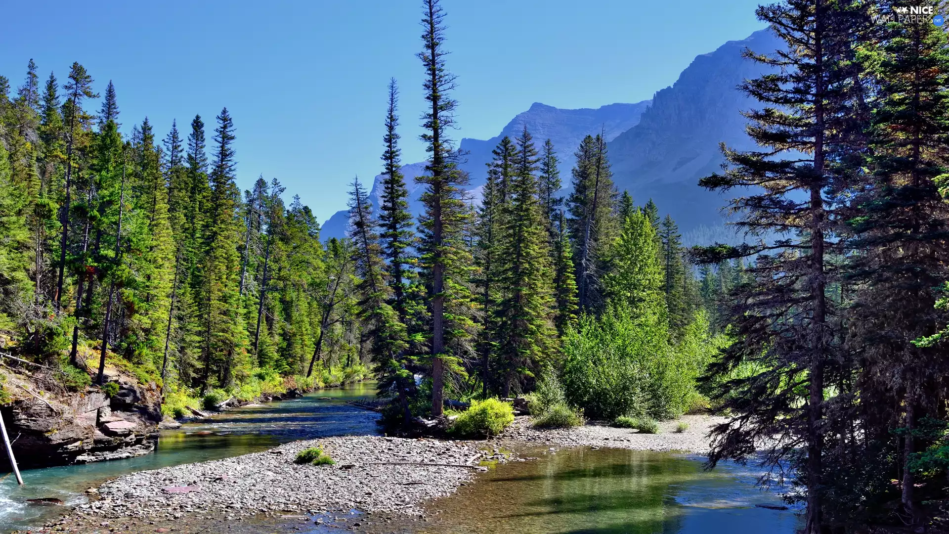Mountains, The United States, trees, viewes, River, Glacier National Park