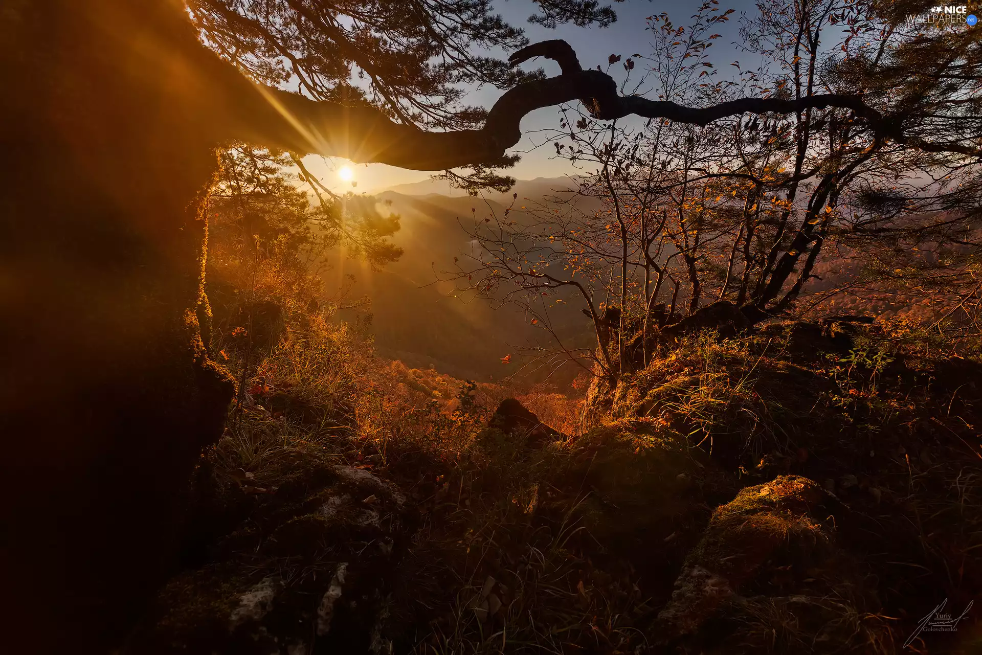 Mountains, The Hills, trees, viewes, rays of the Sun