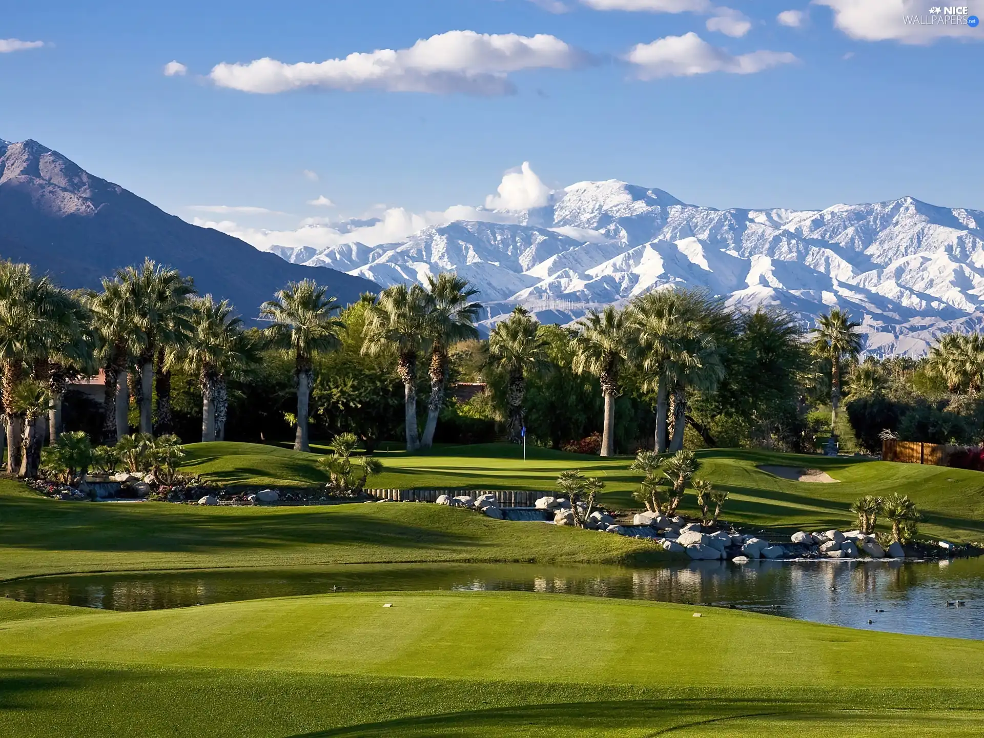 Mountains, Garden, Palms