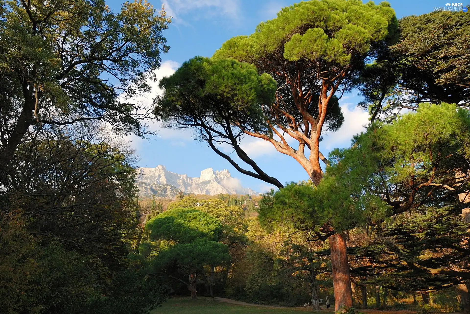 Park, viewes, Mountains, trees