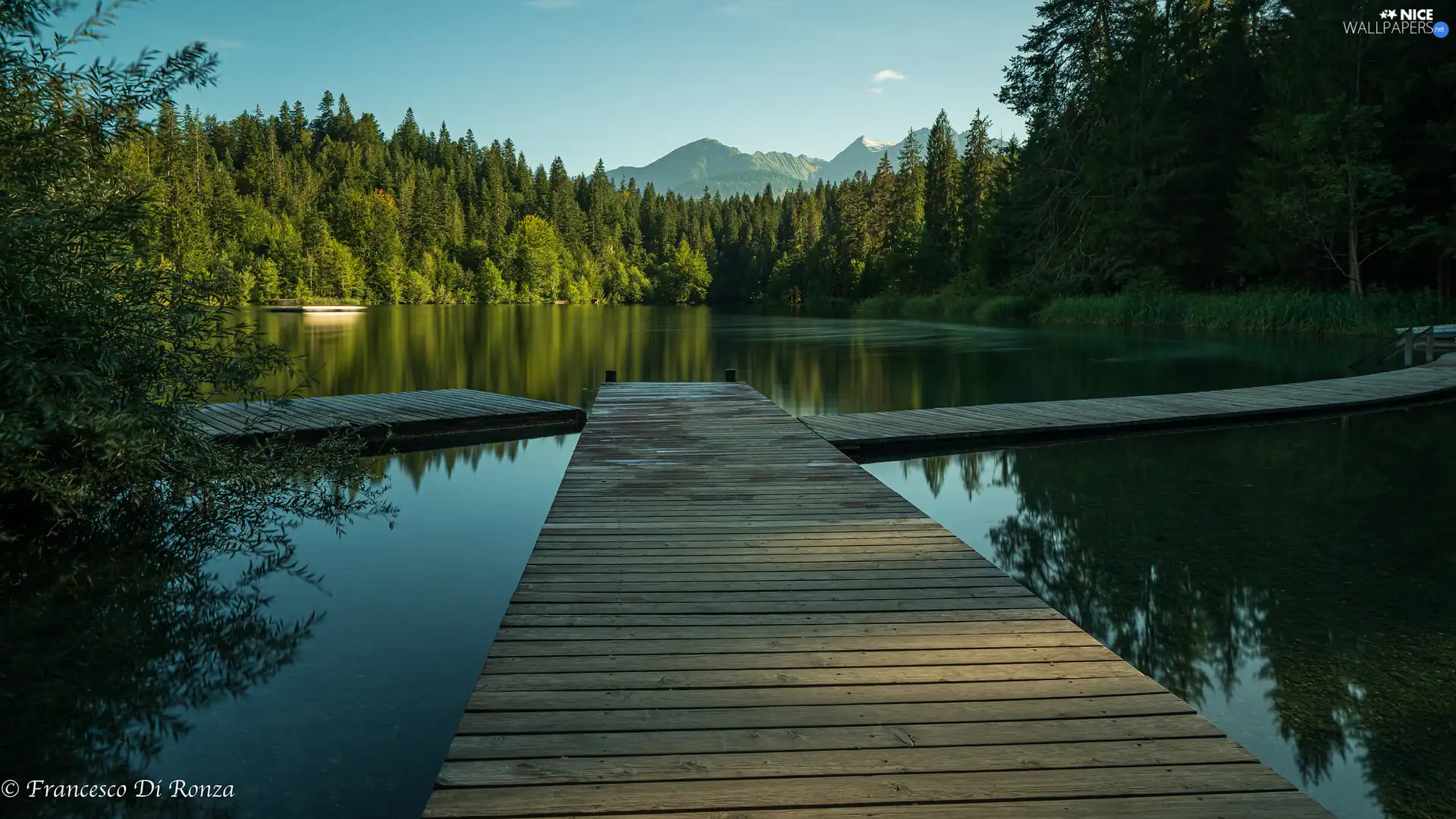 viewes, Mountains, Platforms, trees, lake