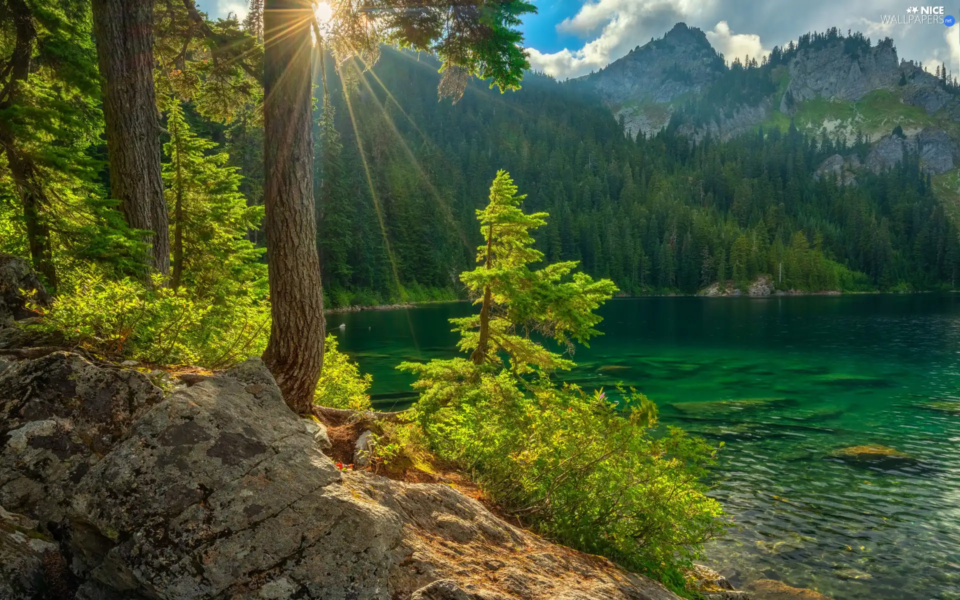 lake, trees, summer, viewes, Rocks, forest, Mountains, rays of the Sun