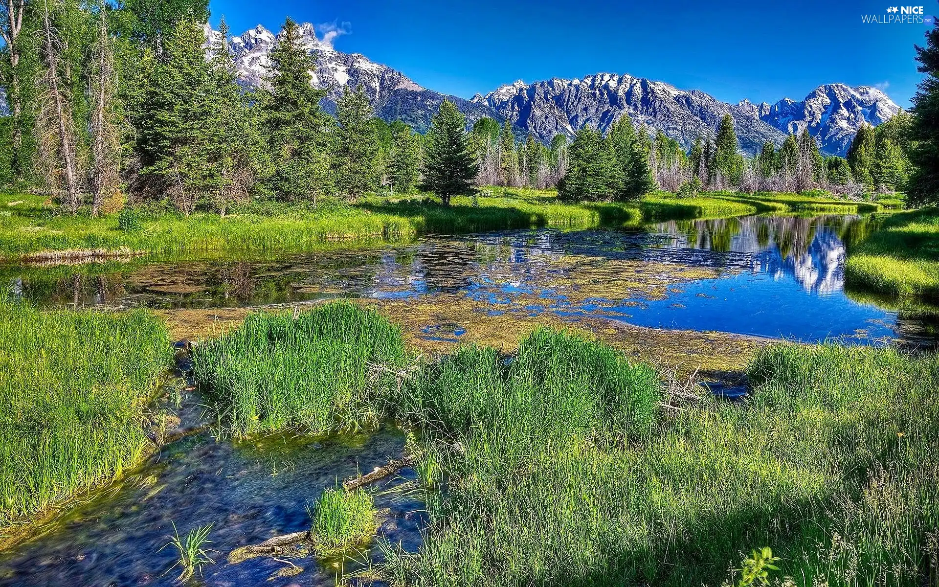 River, forest, Mountains, scrub