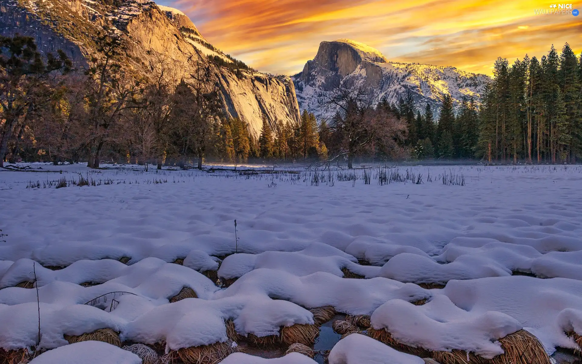 grass, dry, snow, Sierra Nevada, Mountains, winter, viewes, The United States, Yosemite Valley, trees, Yosemite National Park, California