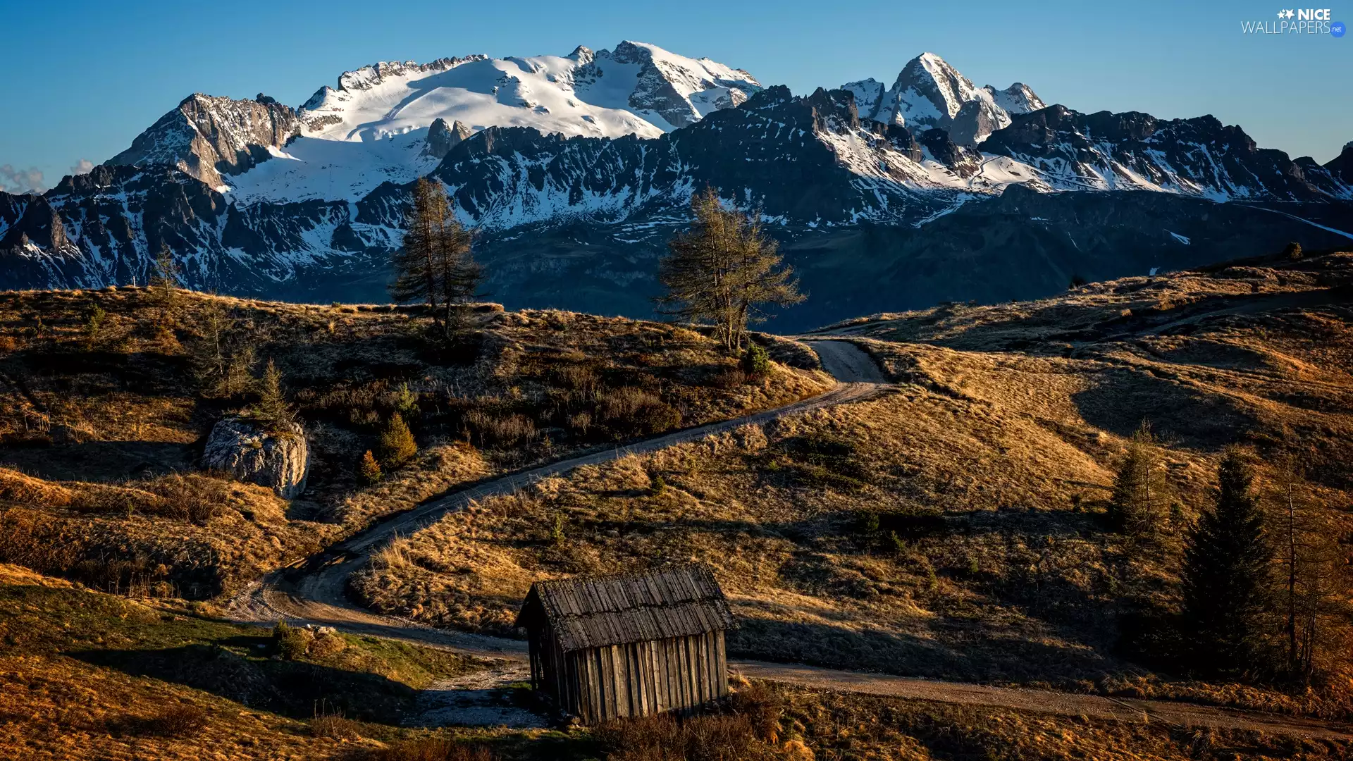 Mountains, Italy, Dolomites, trees, Wooden, cote, Snowy, peaks, viewes