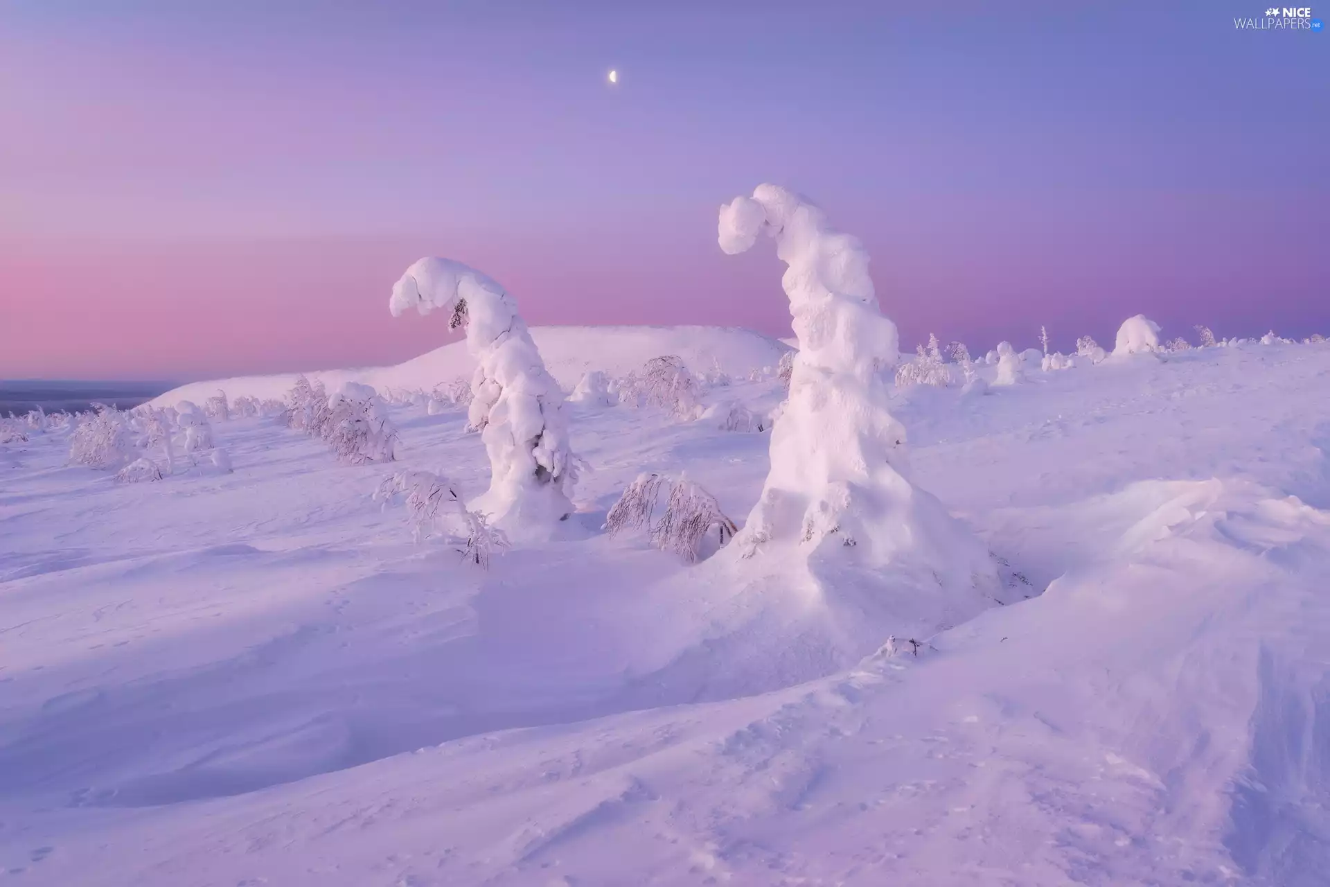 trees, winter, snow, Mountains, viewes, snowy