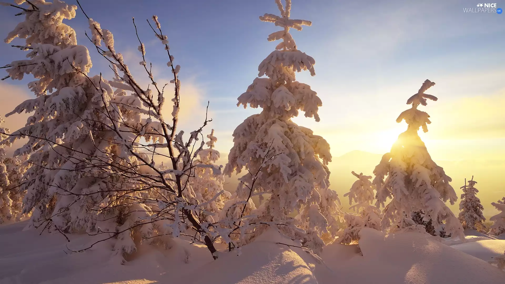 winter, Ukraine, Spruces, Great Sunsets, Snowy, Carpathian Mountains