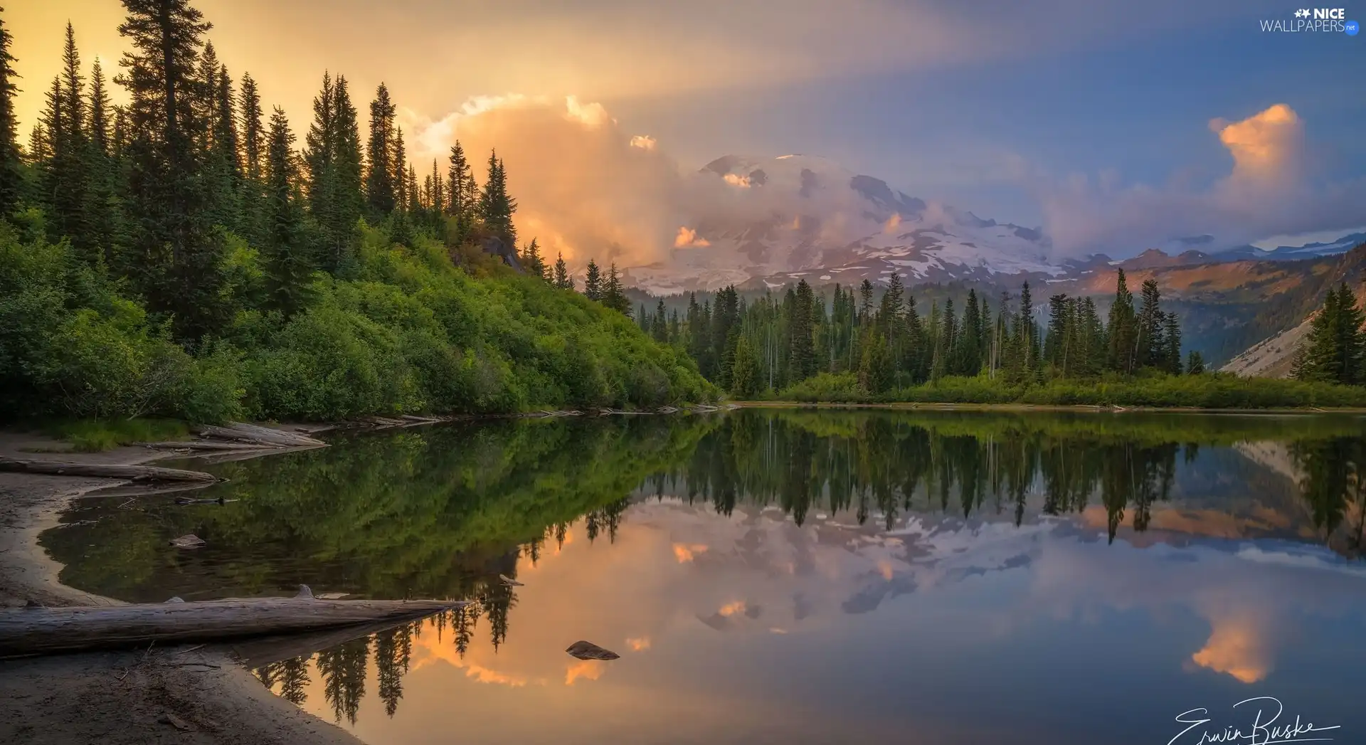 trees, viewes, The United States, forest, Washington State, Mountains, lake, Mount Rainier National Park