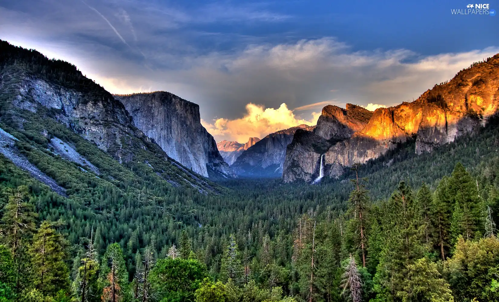 Mountains, forest, Steep