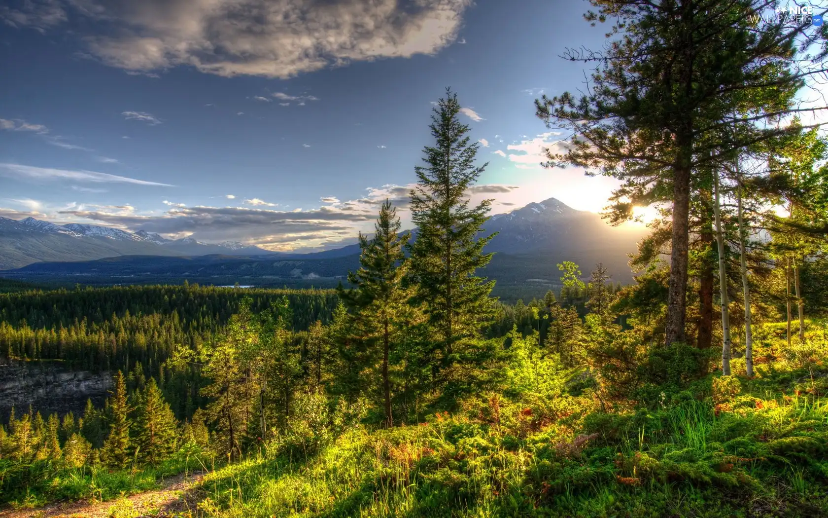 rays of the Sun, forest, Mountains