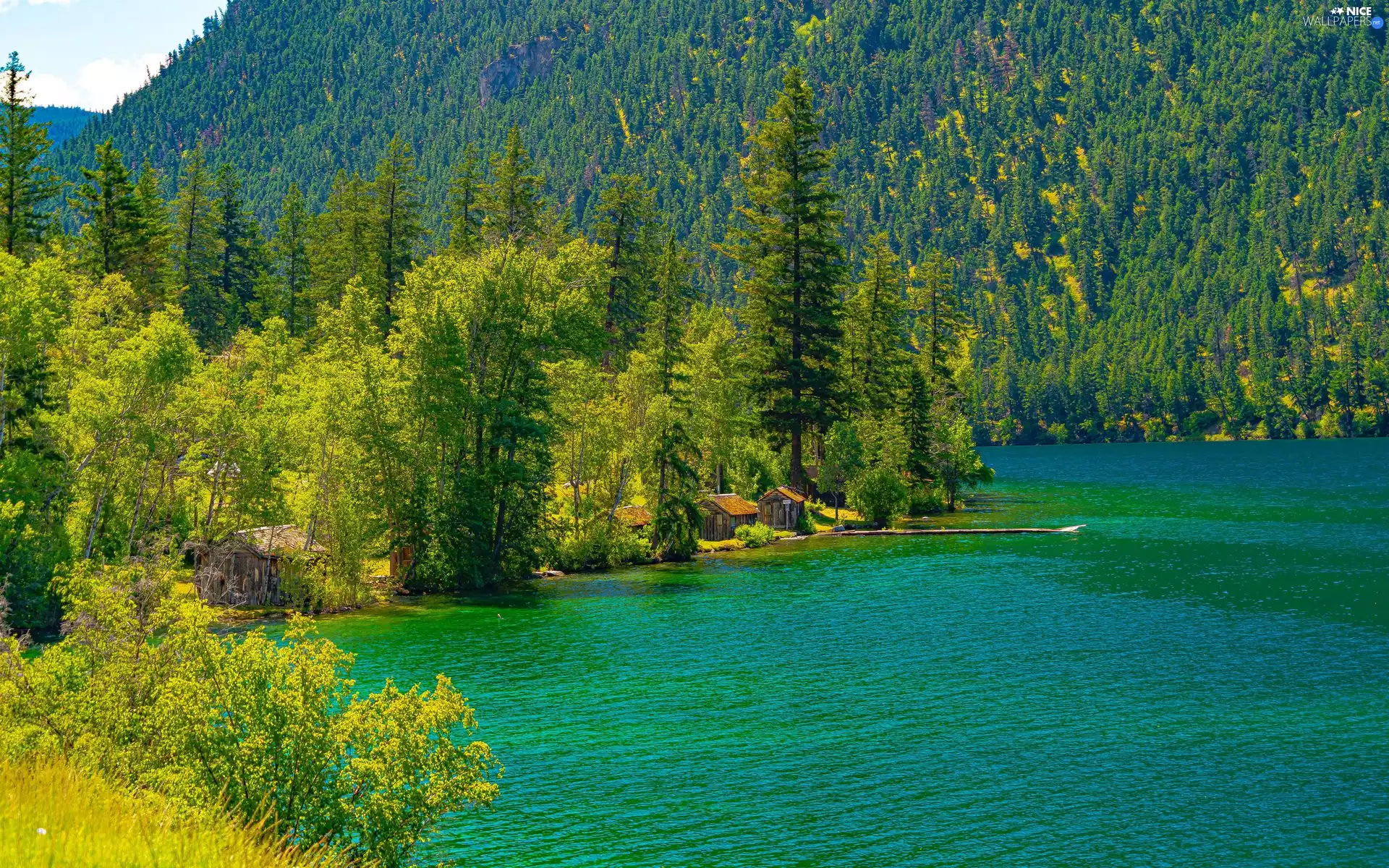 viewes, Houses, The wooded, trees, lake, forest, mountains