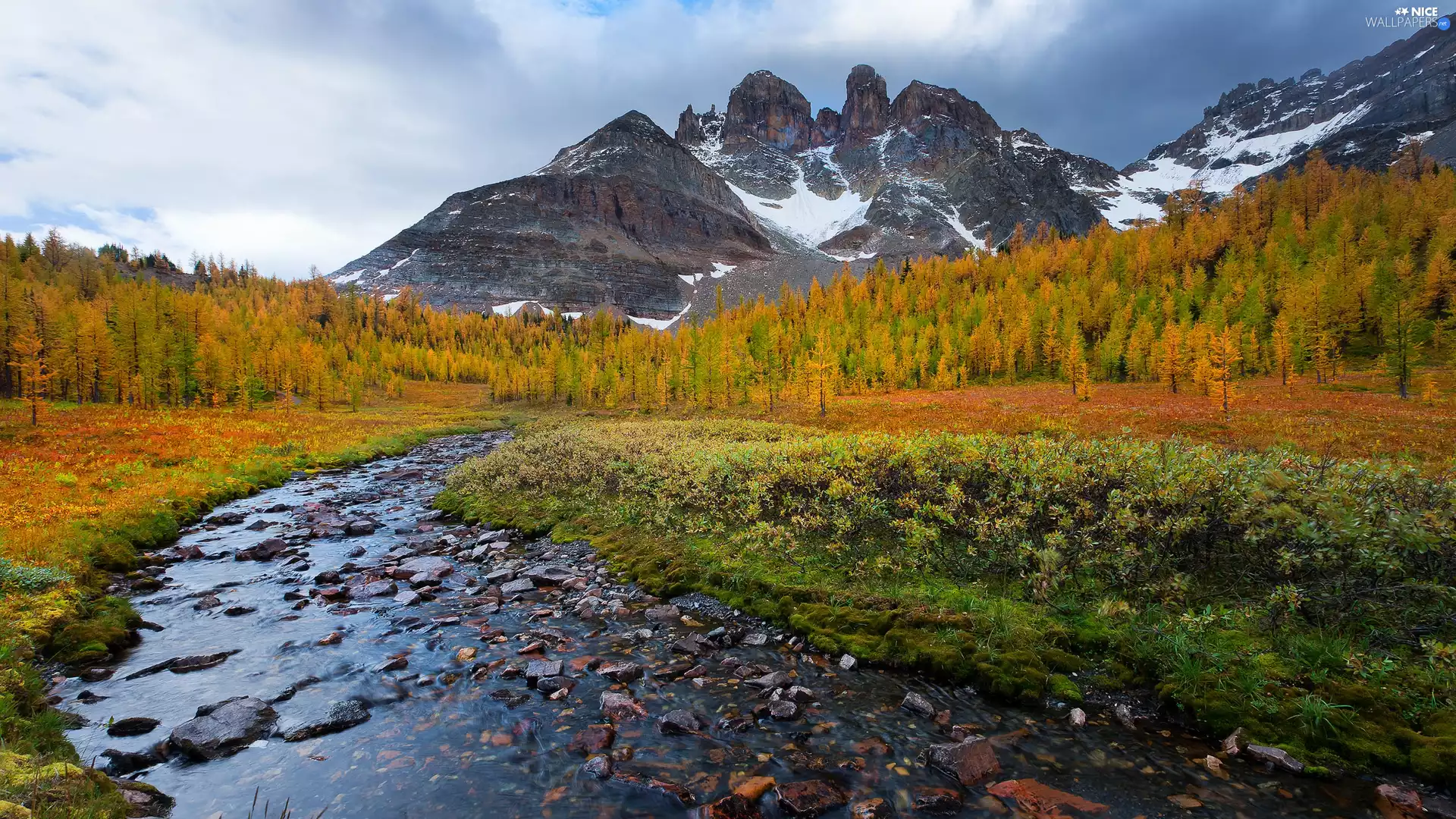 viewes, autumn, brook, Mountains, stream, trees