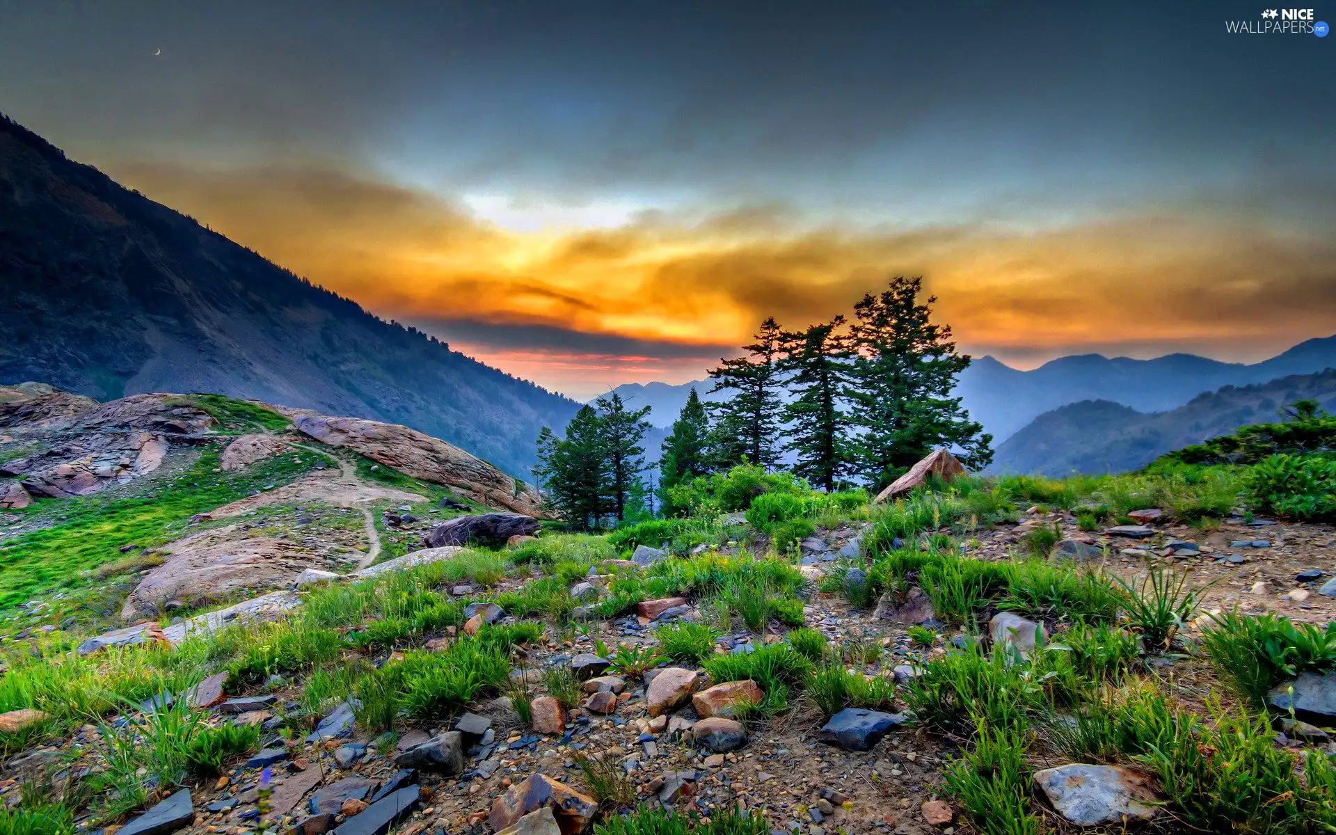 trees, clouds, Mountains, viewes