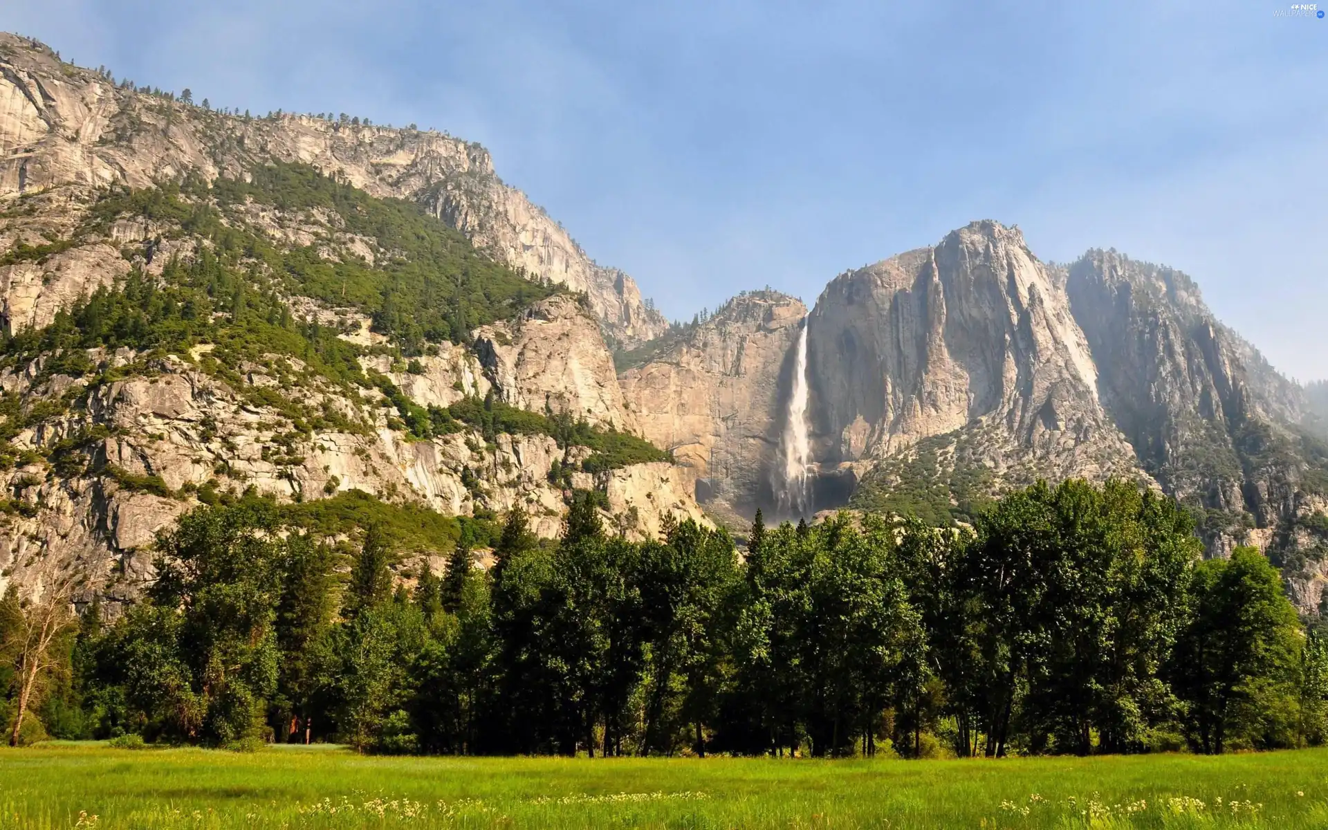 trees, grass, Mountains, viewes