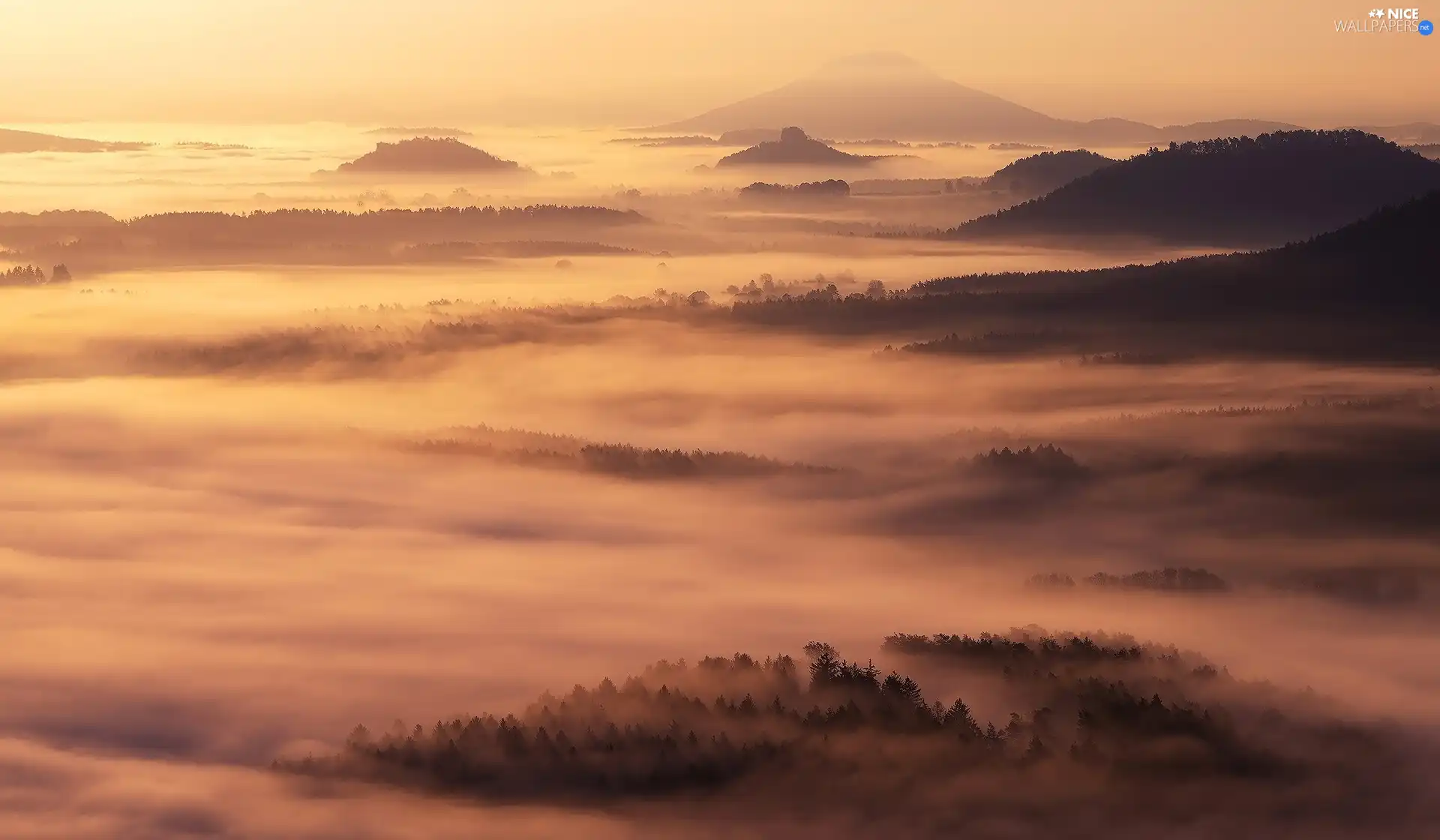 viewes, Fog, Houses, Mountains, forest, trees