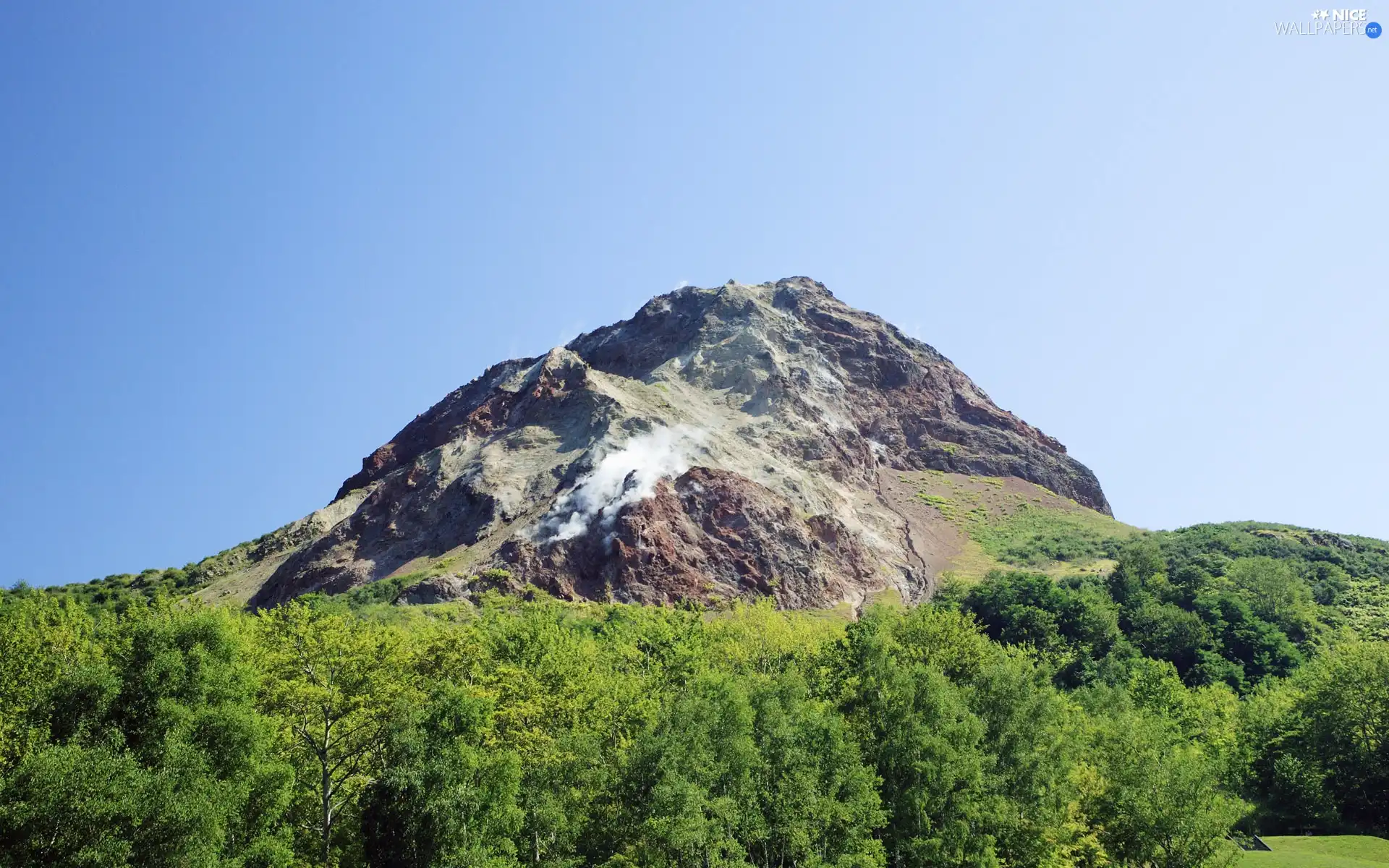 trees, mount, Mountains, viewes