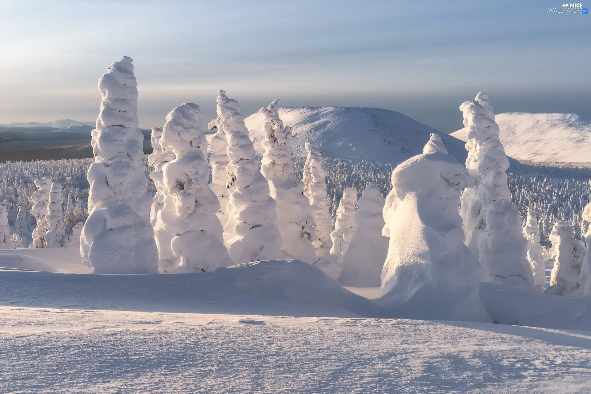forest, snow, trees, Mountains, winter, Snowy, viewes
