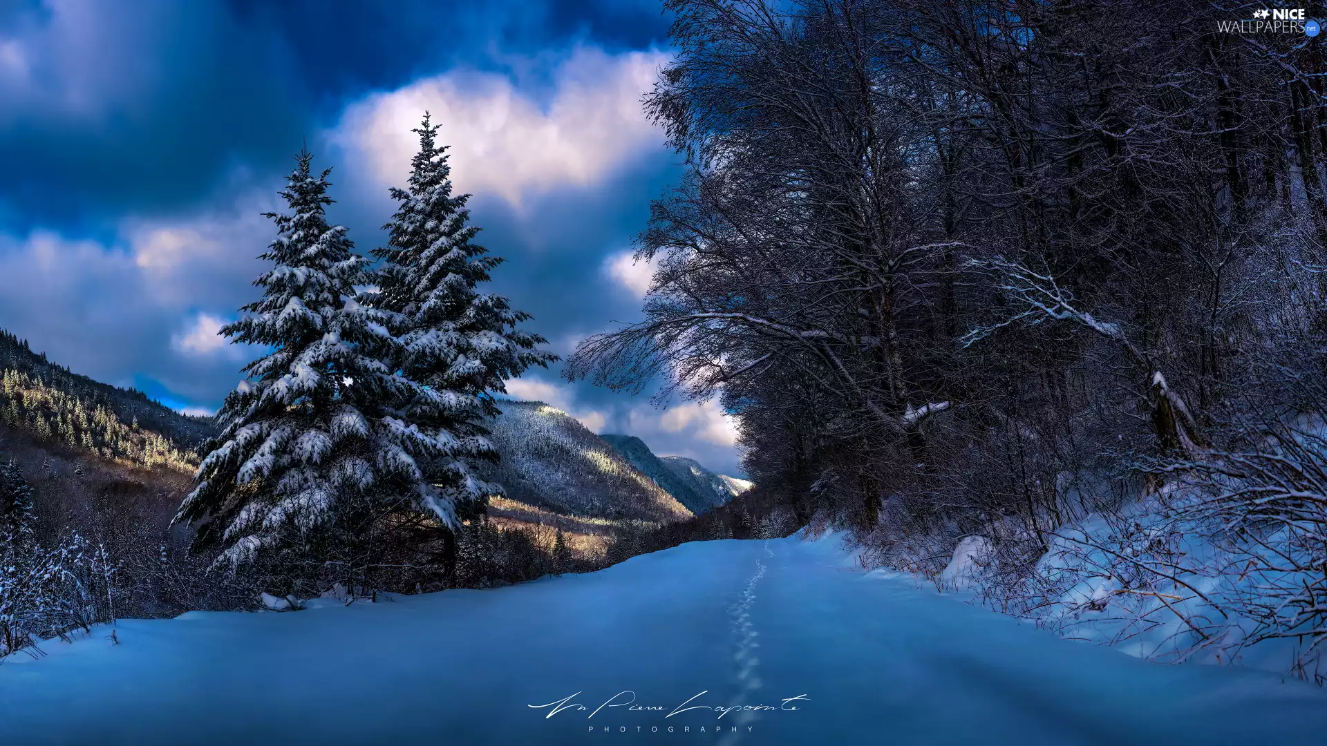 viewes, winter, Way, Mountains, snowy, trees