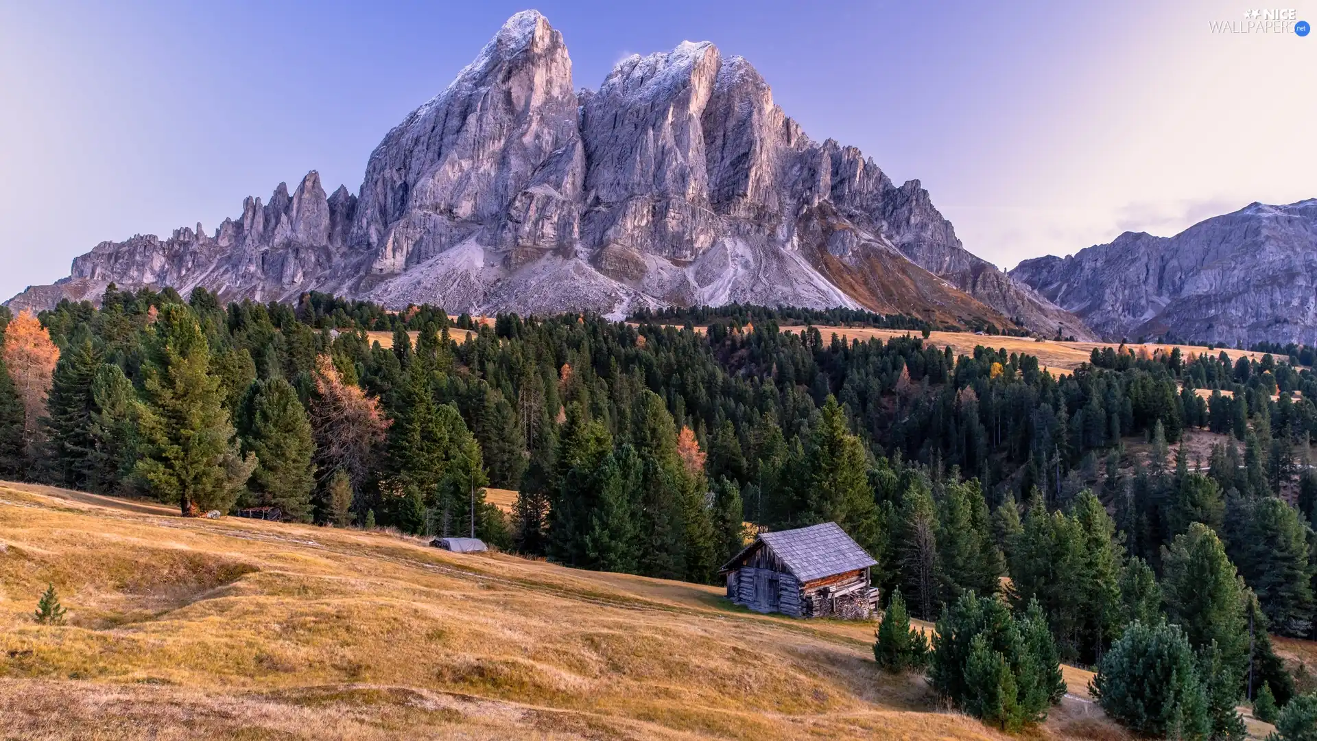forest, Dolomites, viewes, Mountains, Italy, trees, house